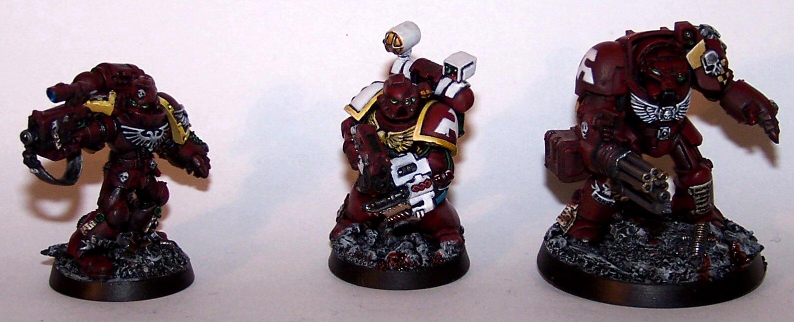 Apothecary, Assault Cannon Terminator, Emperor's Wings Chapter, Space Marines, Sternguard Veteran, Terminator Armor