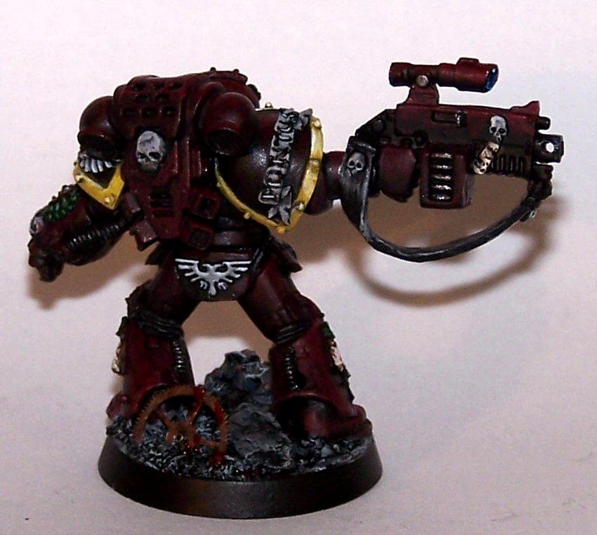 Emperor's Wings Chapter, Space Marines, Sternguard Veteran