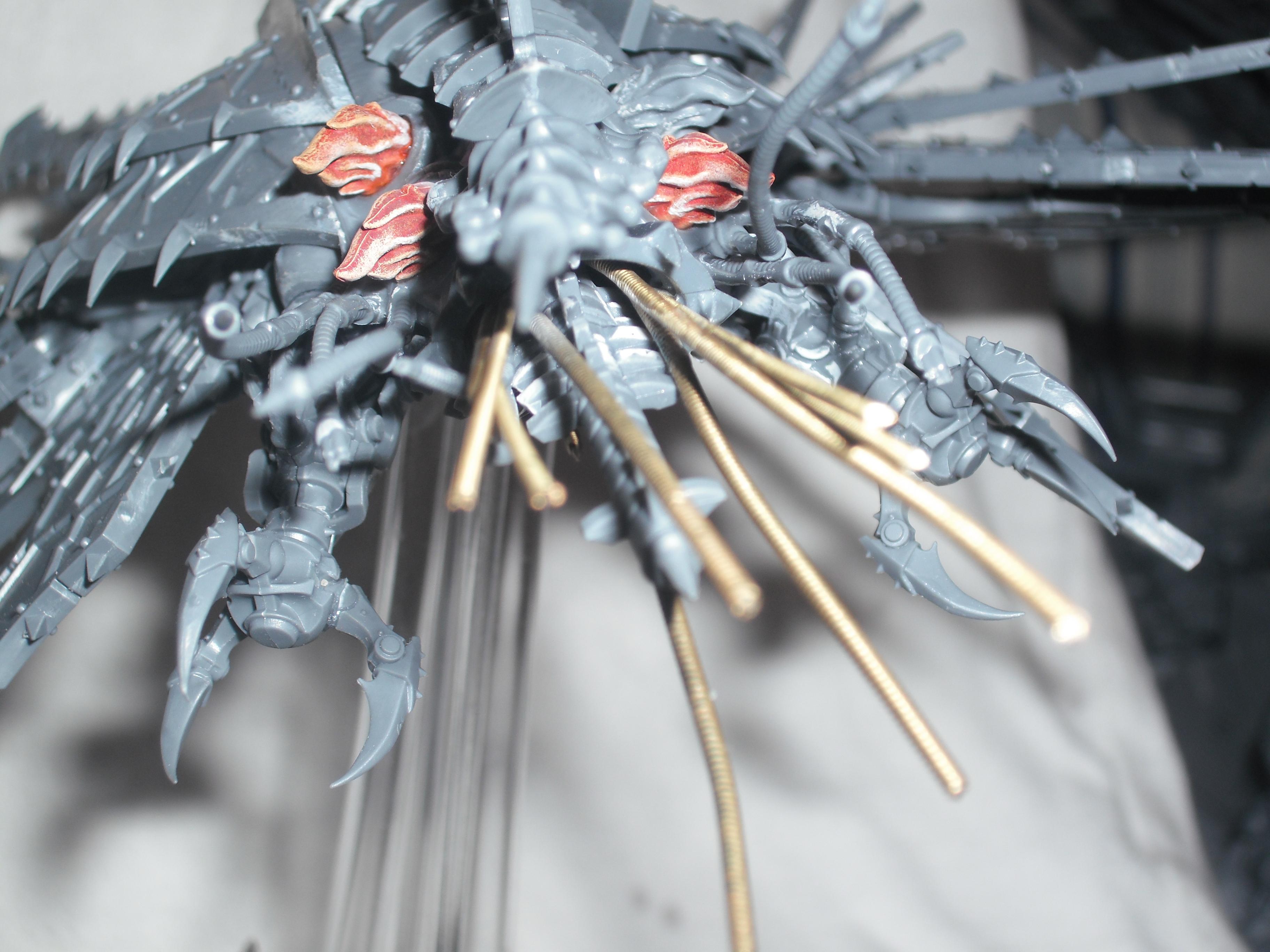 Heldrake back