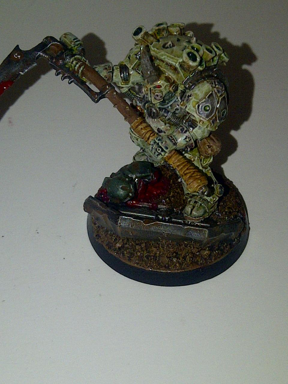 Typhus