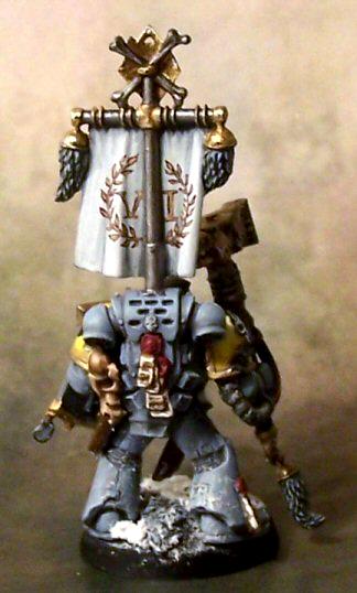 Captain, Snow, Space Marines, Space Wolves, Thunder Hammer &amp; Storm Shield