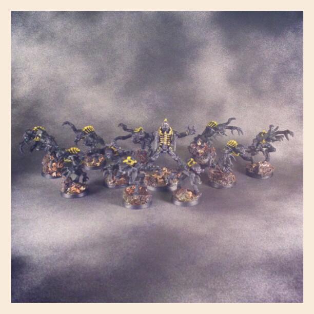Finished Brood