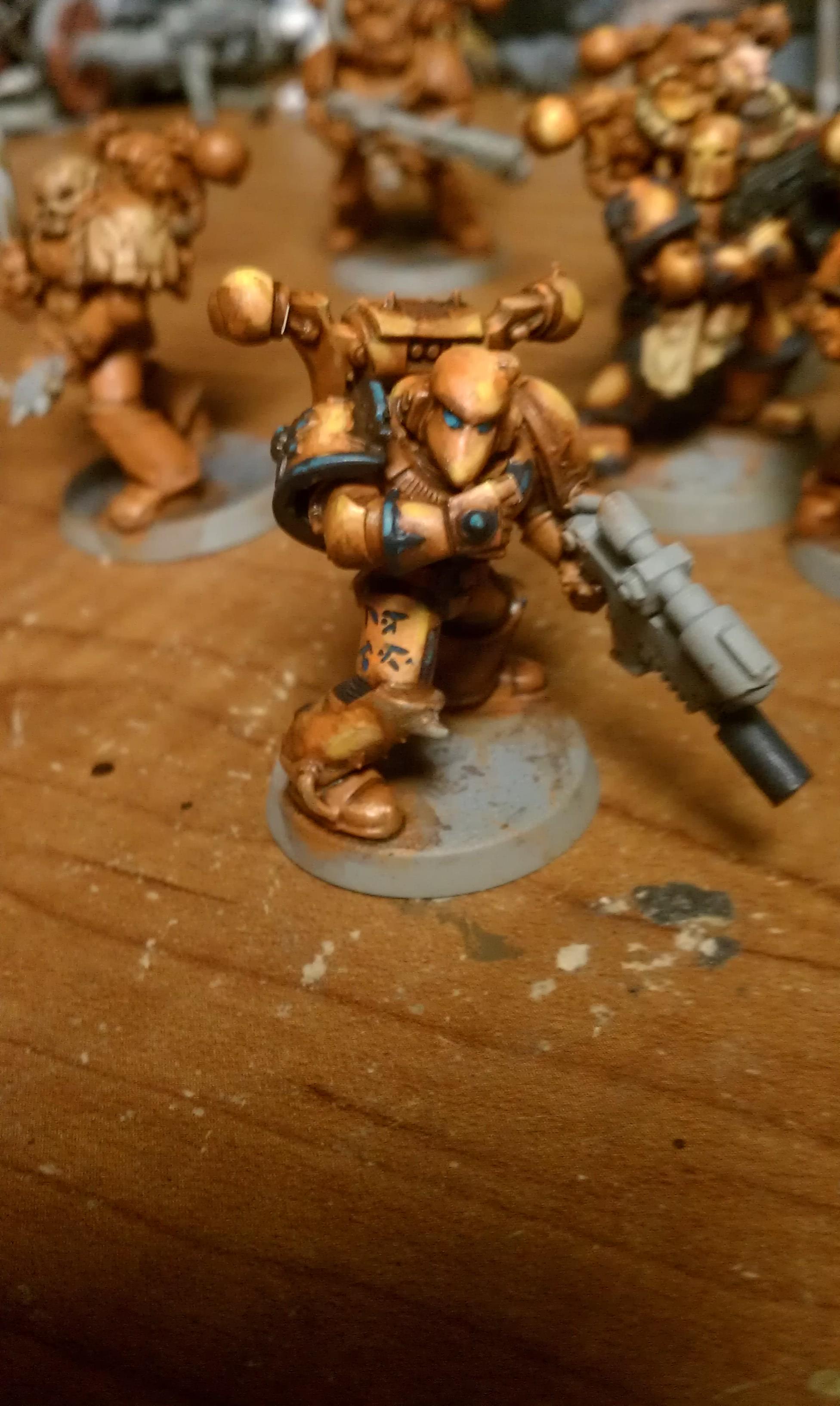 Front WiP Acolyte 1
