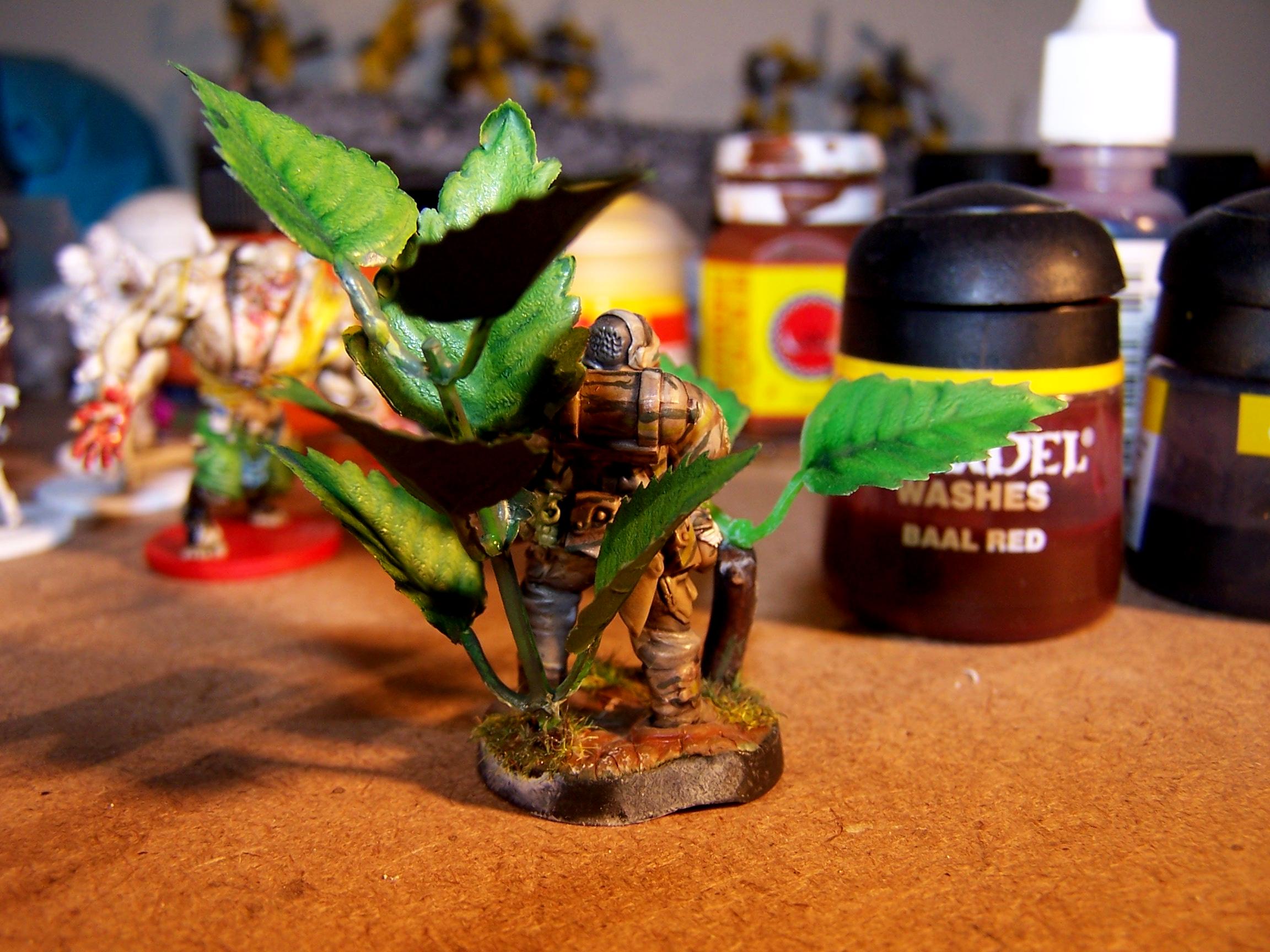 Camouflage, Jungle, Scouts, Space Marines