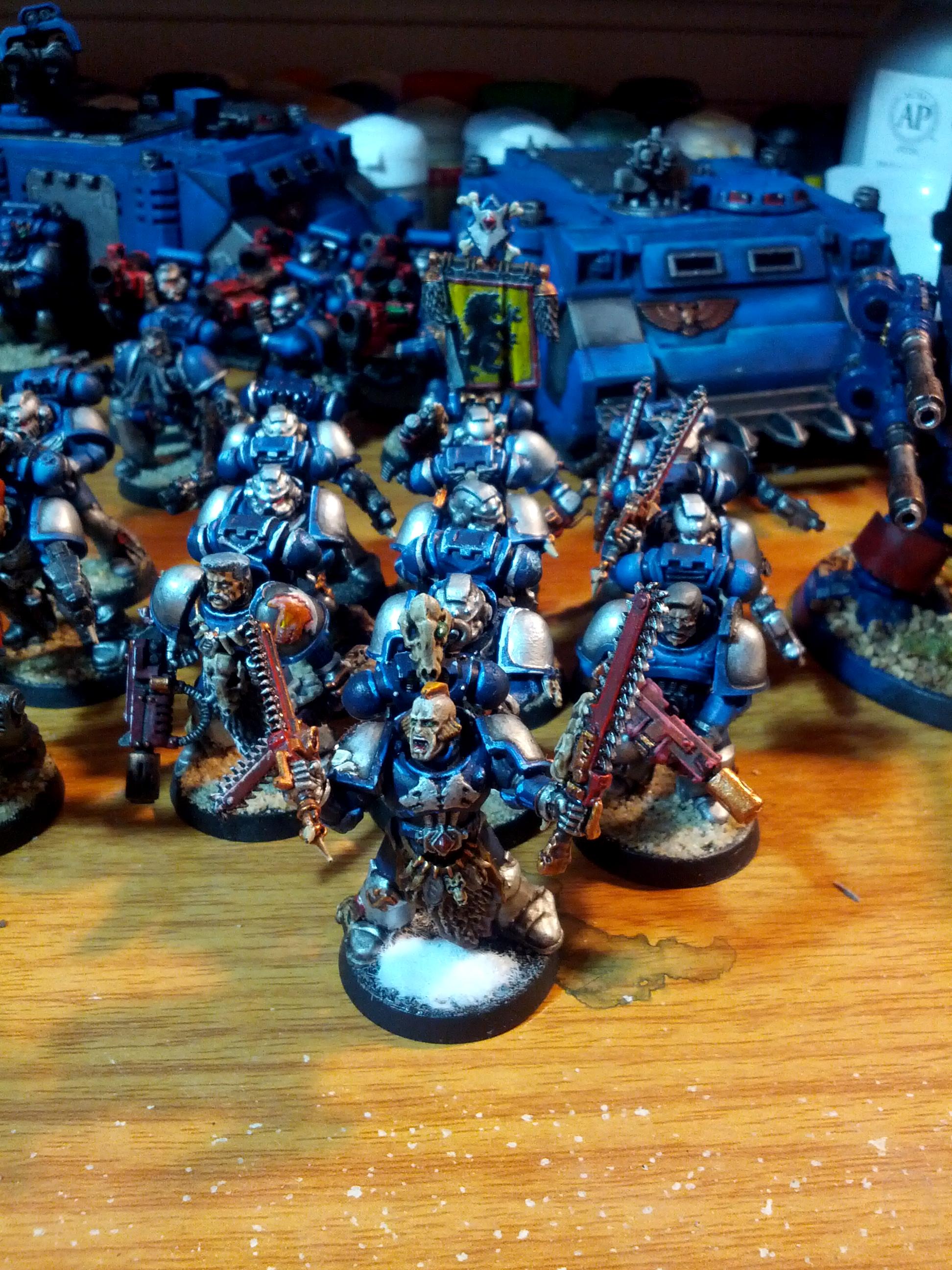 Grey Hunters, Space Wolves, Storm Wardens