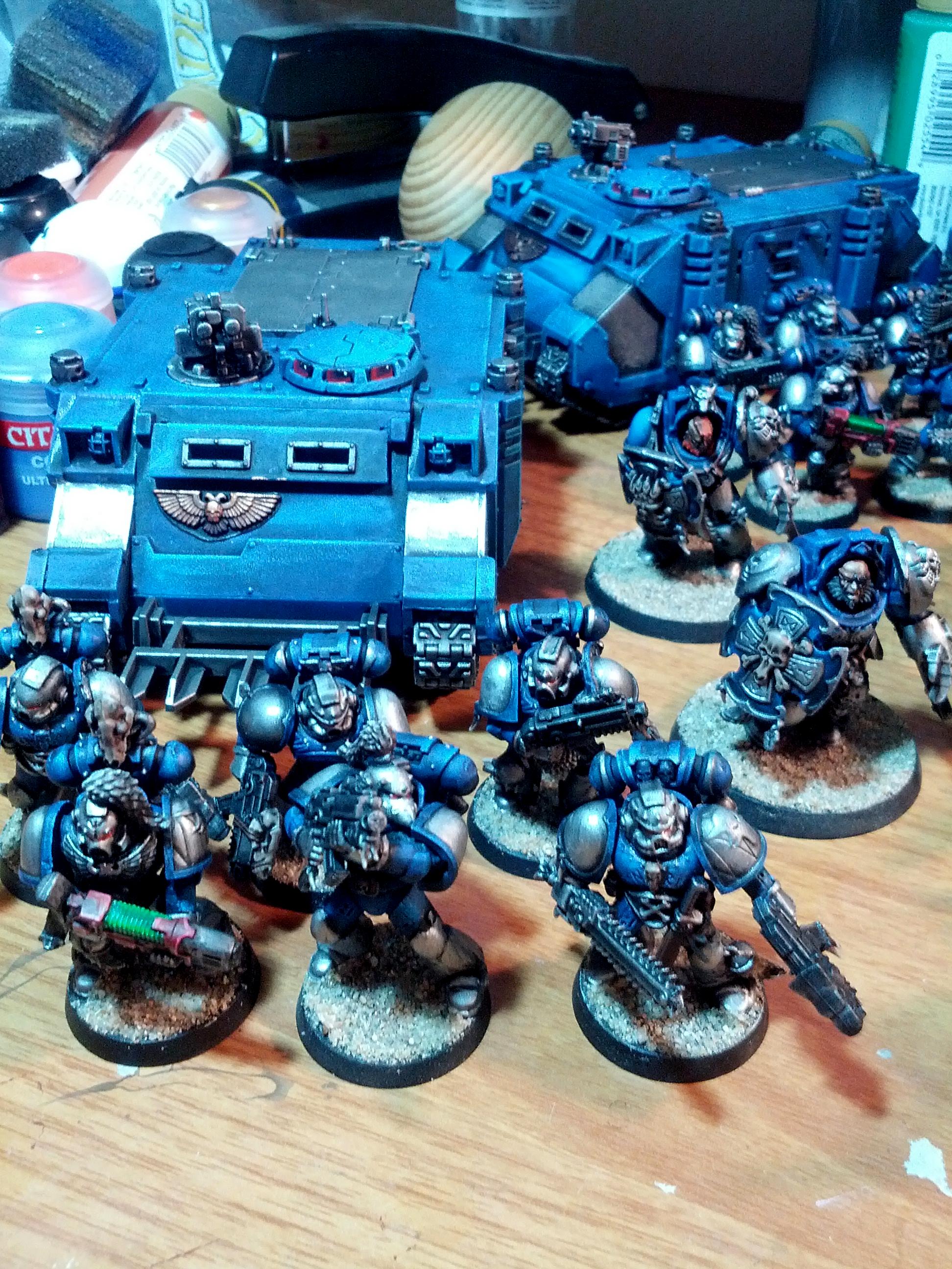 Grey Hunters, Smurfs, Space Wolves, Storm Wardens