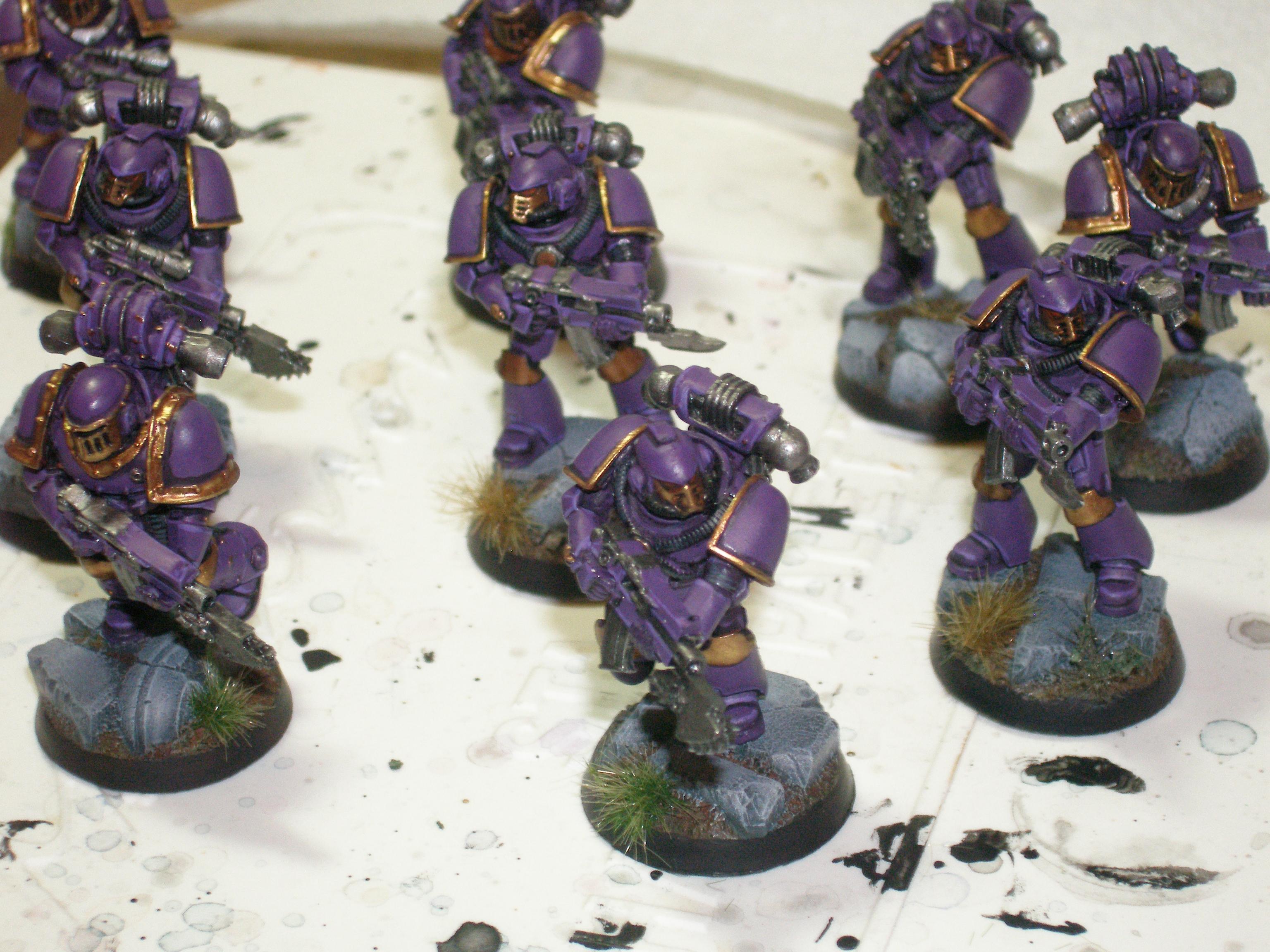 Emperor's Children Legion Tactical Squad