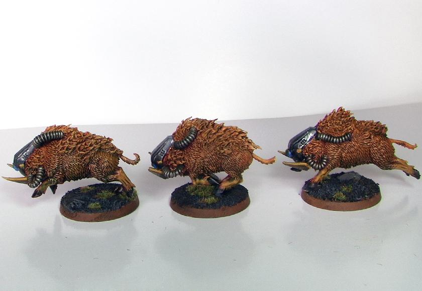 Beastmen, Boar, Cyber, Fenrisian, Space, Space Marines, Warhammer 40,000, Wolves