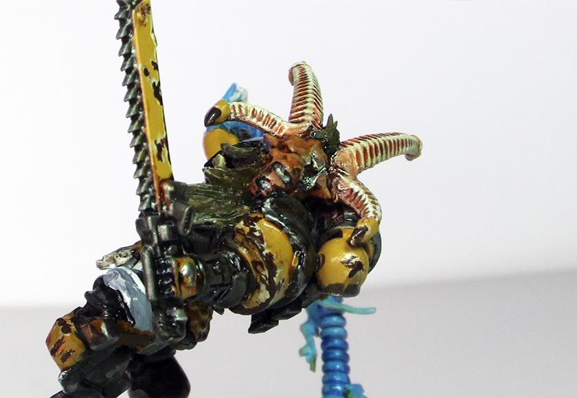 Beastmen, Eye, Kharzak, One, Space, Space Marines, Warhammer 40,000, Wolves