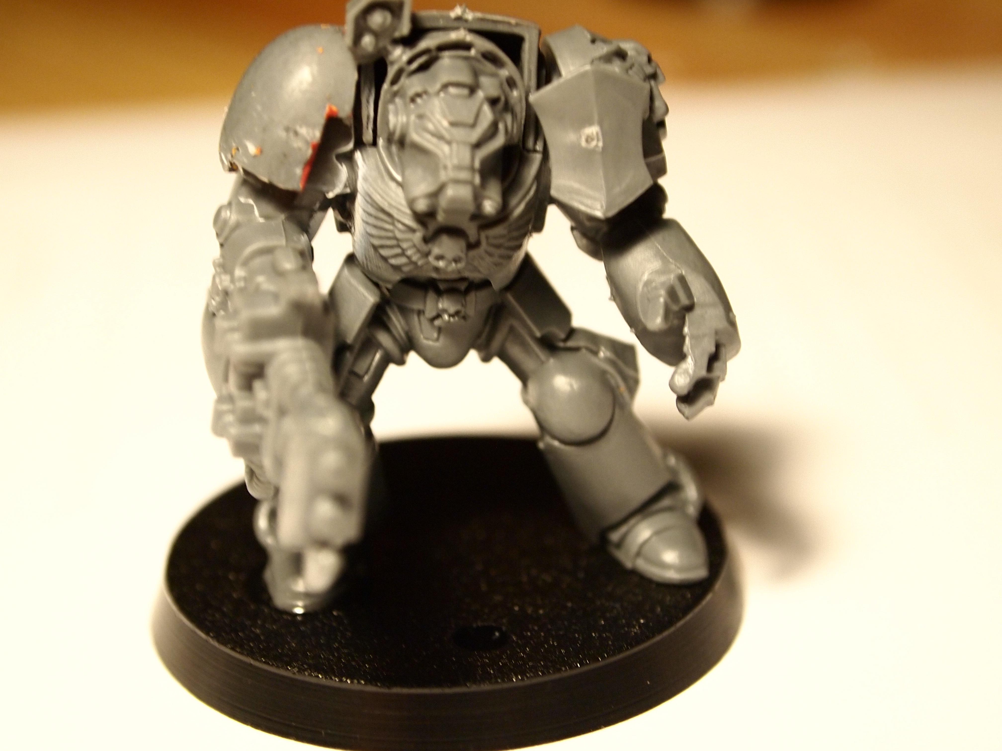 termie with heavy flamer