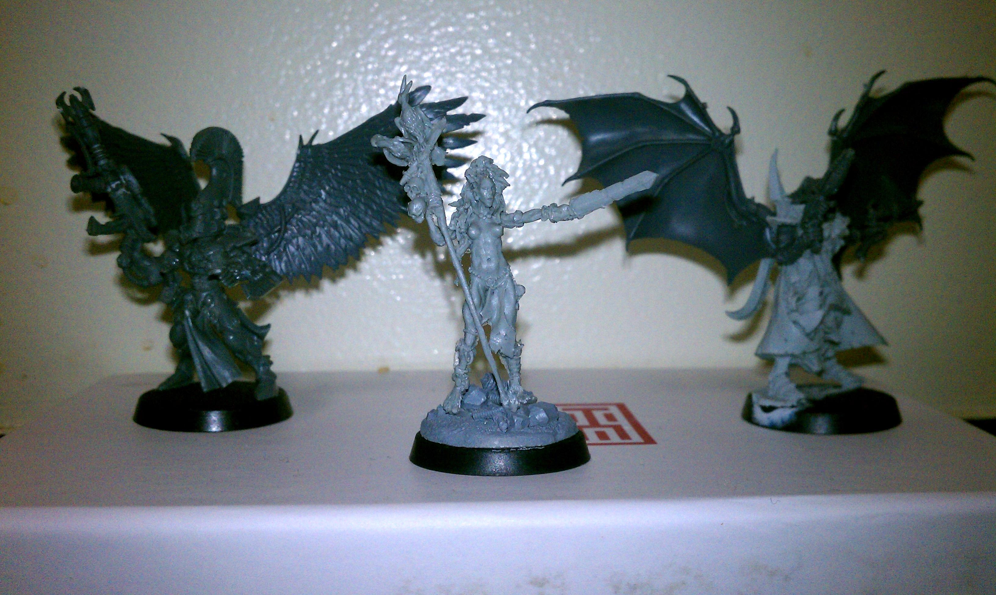 Dark Eldar, Eldar, Exodites, Fluff