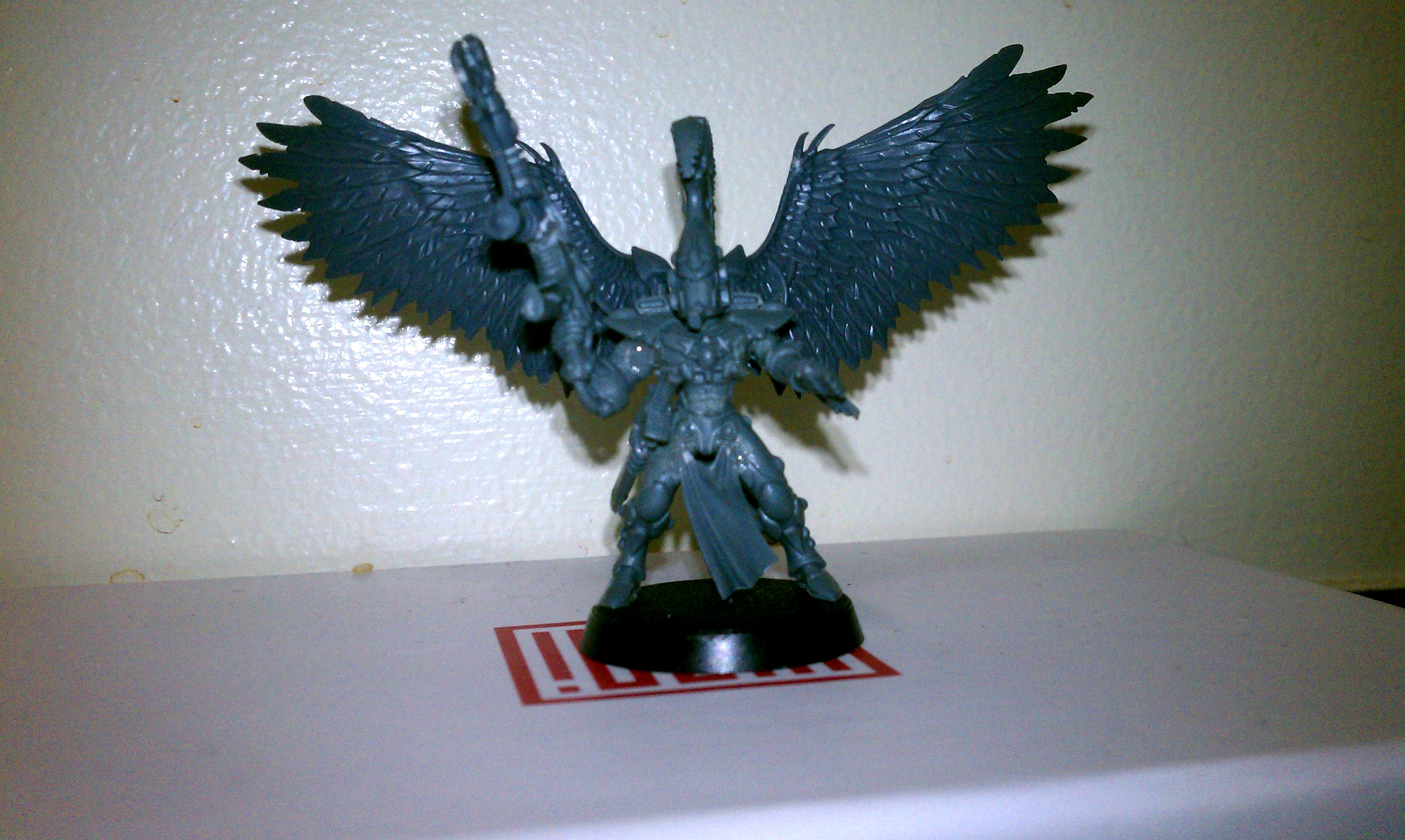 Dark Eldar, Eldar, Exodites, Fluff