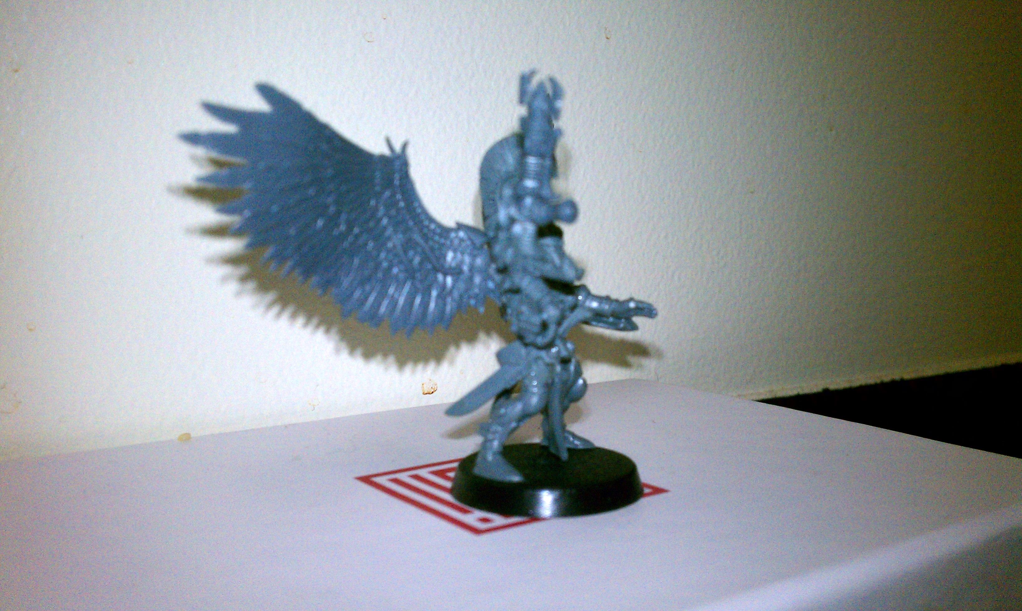 Dark Eldar, Eldar, Exodites, Fluff