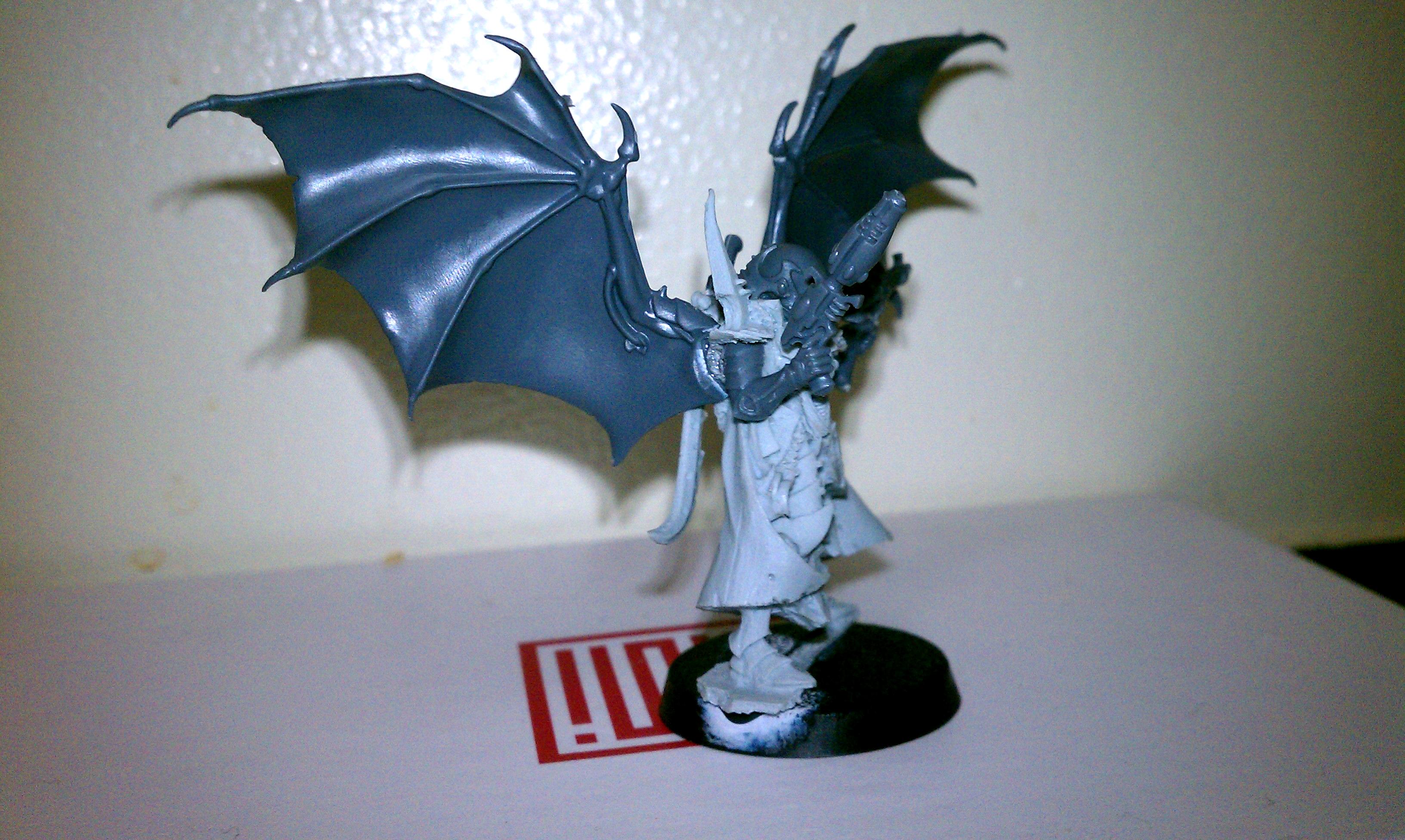 Dark Eldar, Eldar, Exodites, Fluff
