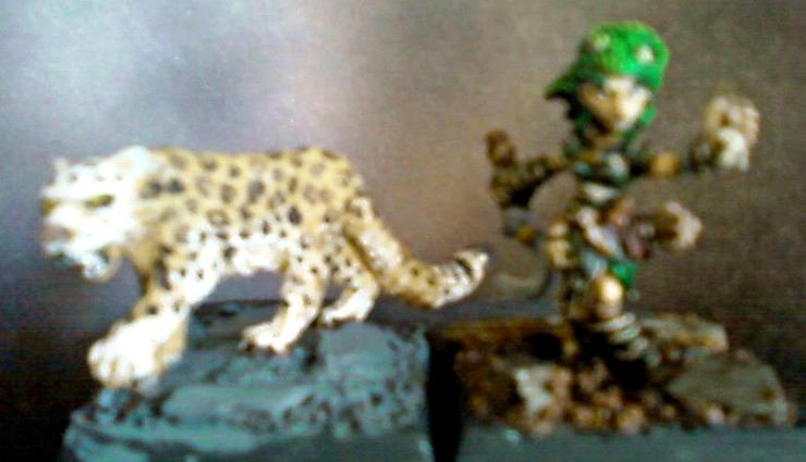 Gnome Druid &amp; Snow leopard