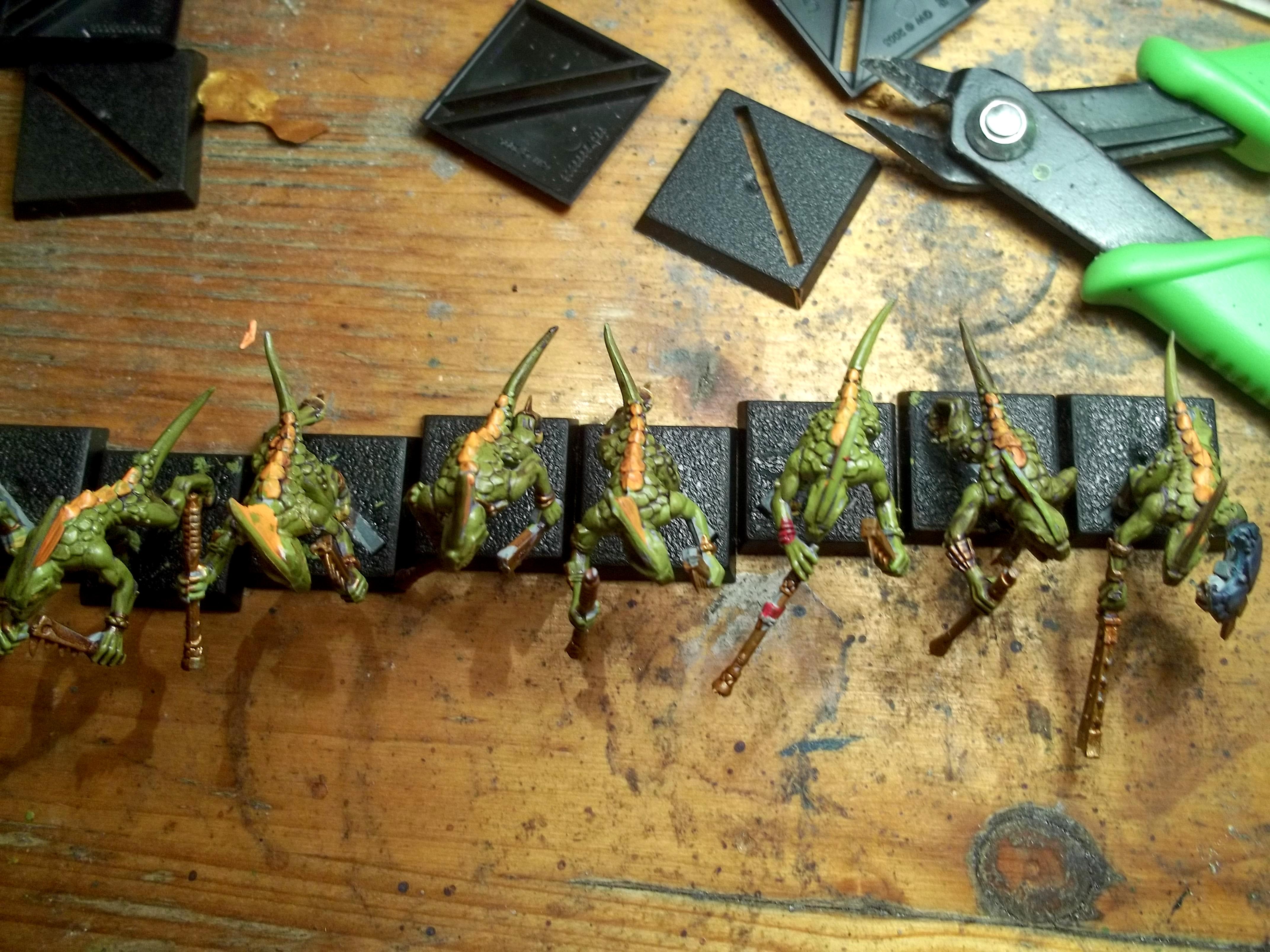Top down of skinks