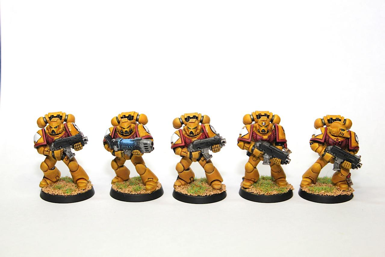 Dark Vengeance, Imperial Fists, Space Marines
