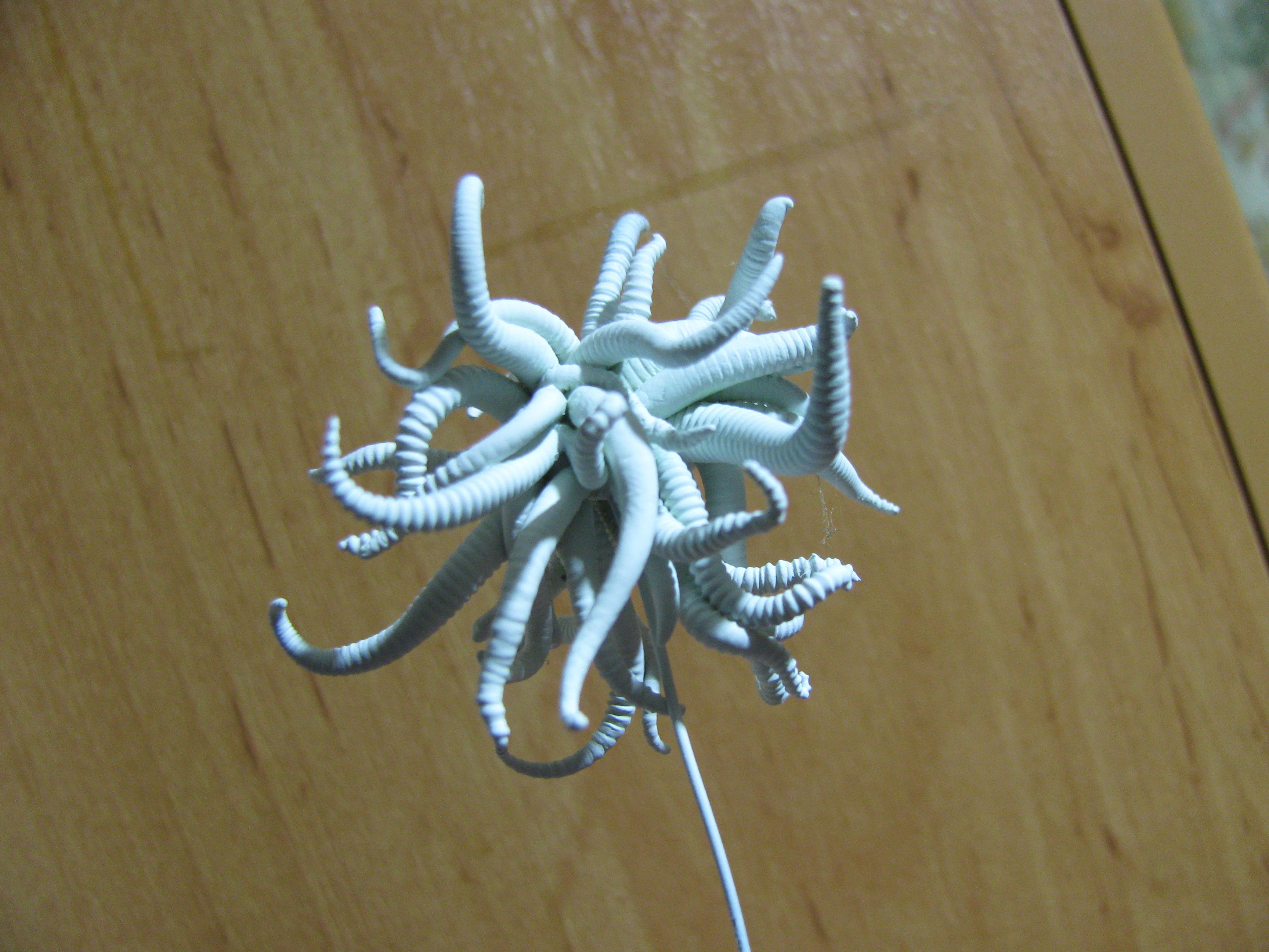 Chaos, Conversion, Tentacles, Work In Progress