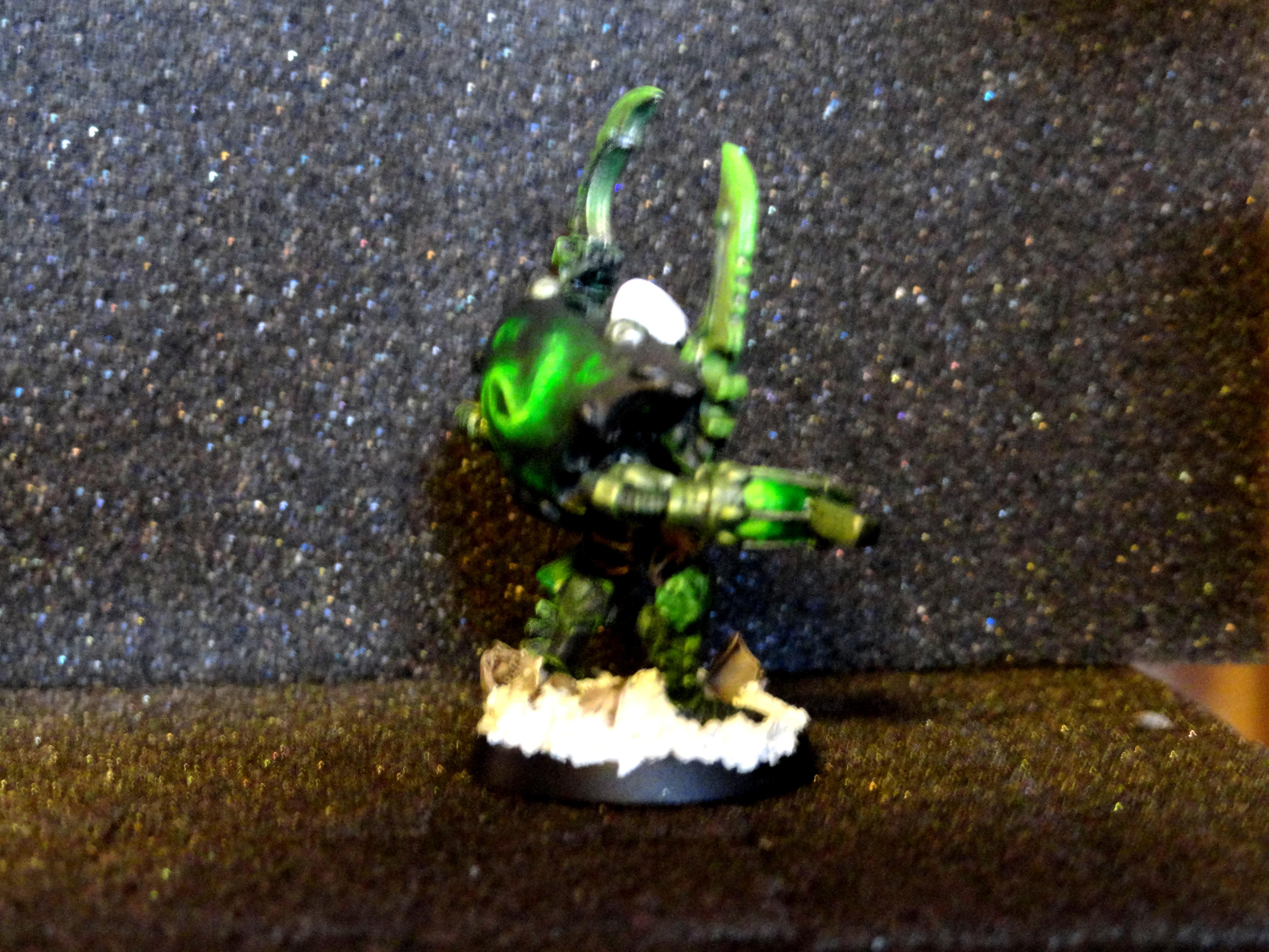 Exarch 3/4 Back