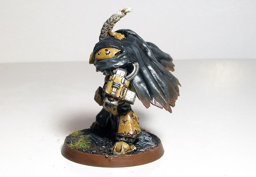 Armor, Bestigors, Guards, Space, Space Marines, Terminator Armor, Warhammer 40,000, Wolf, Wolves