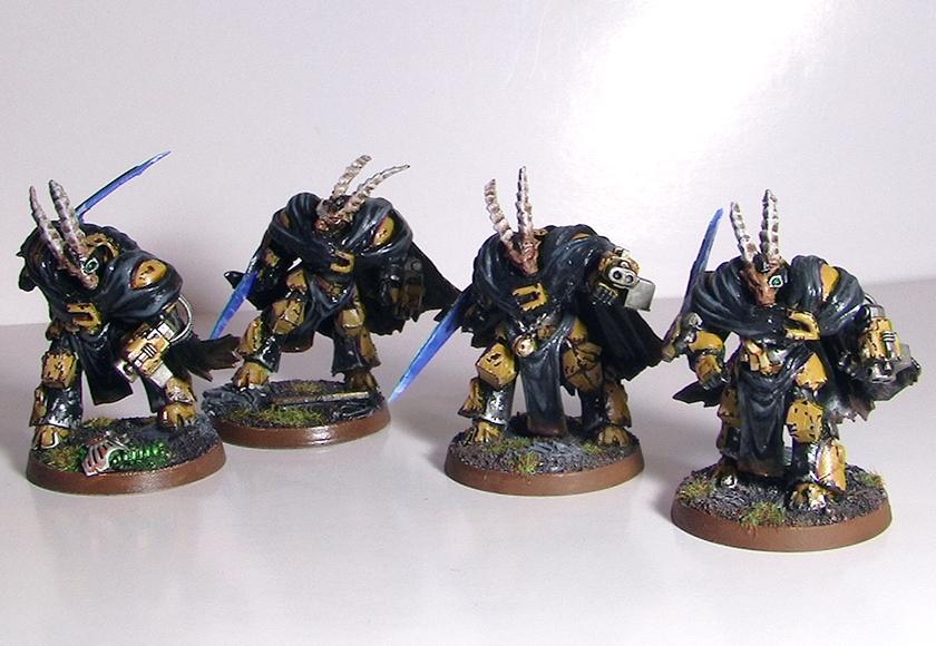 Armor, Bestigors, Guards, Space, Space Marines, Terminator Armor, Warhammer 40,000, Wolf, Wolves