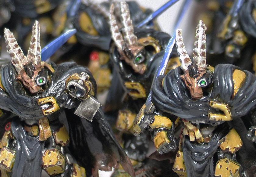Armor, Bestigors, Guards, Space, Space Marines, Terminator Armor, Warhammer 40,000, Wolf, Wolves