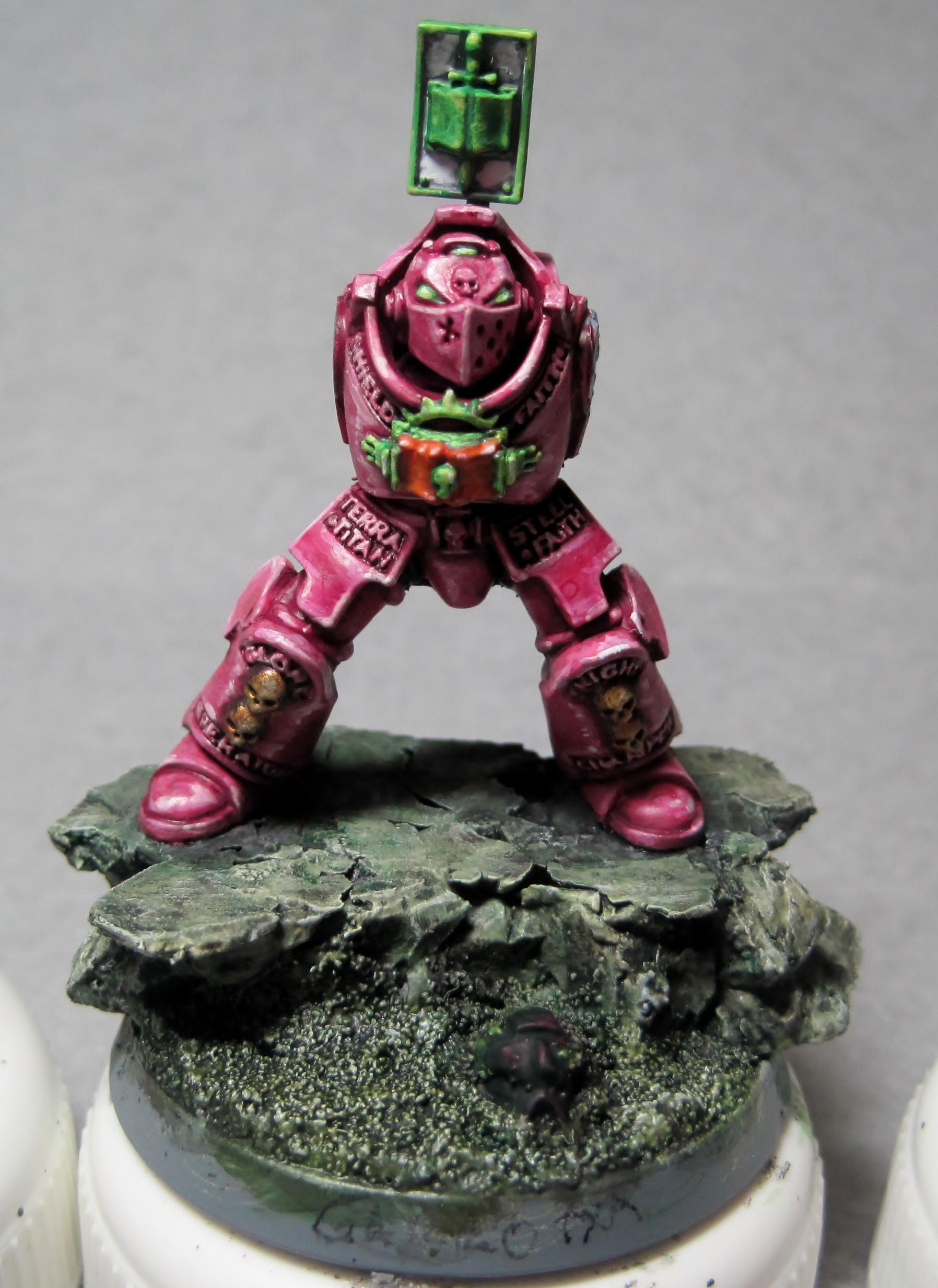 Grey Knights, Humor, Paladins