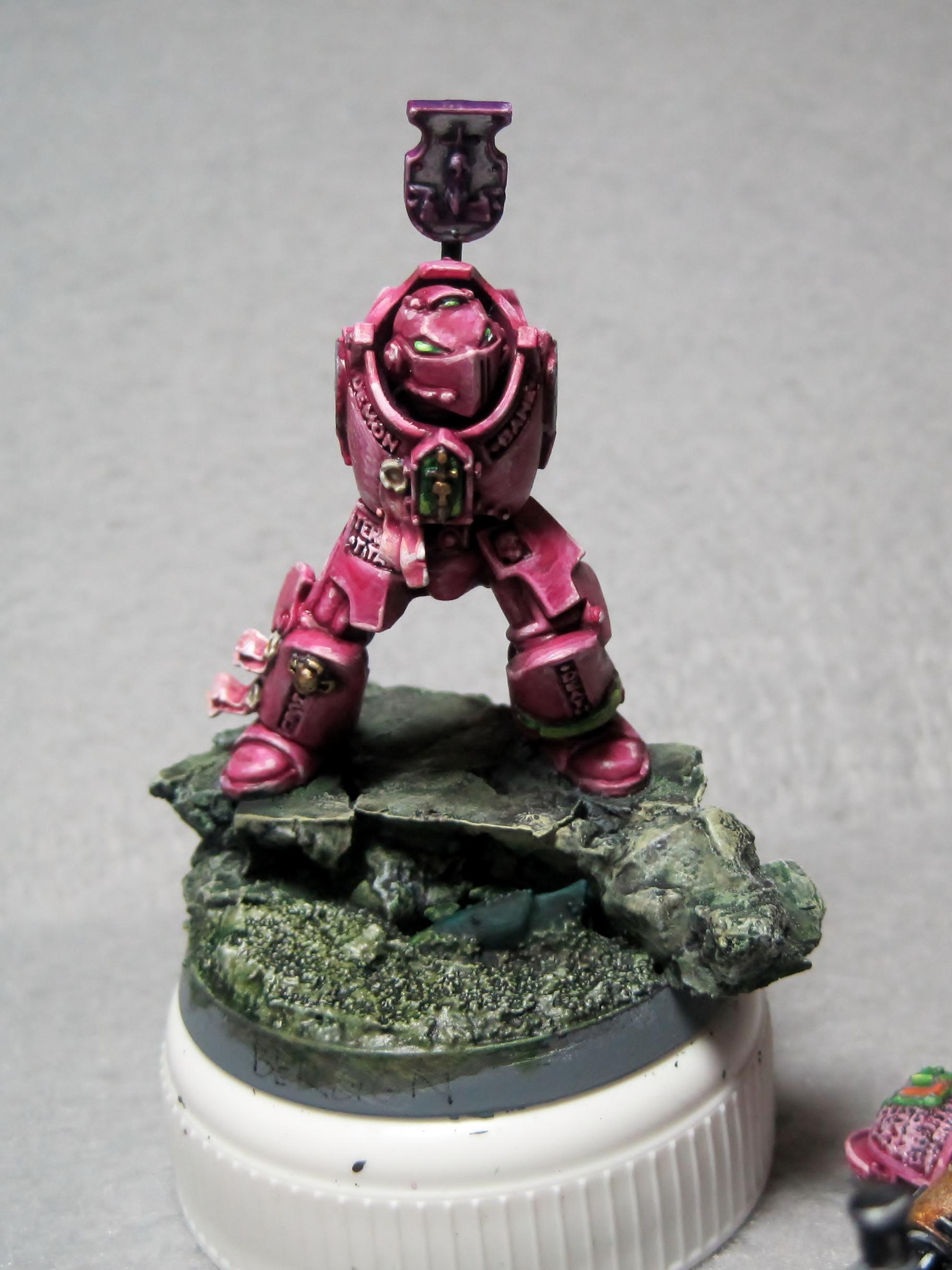 Grey Knights, Humor, Paladins