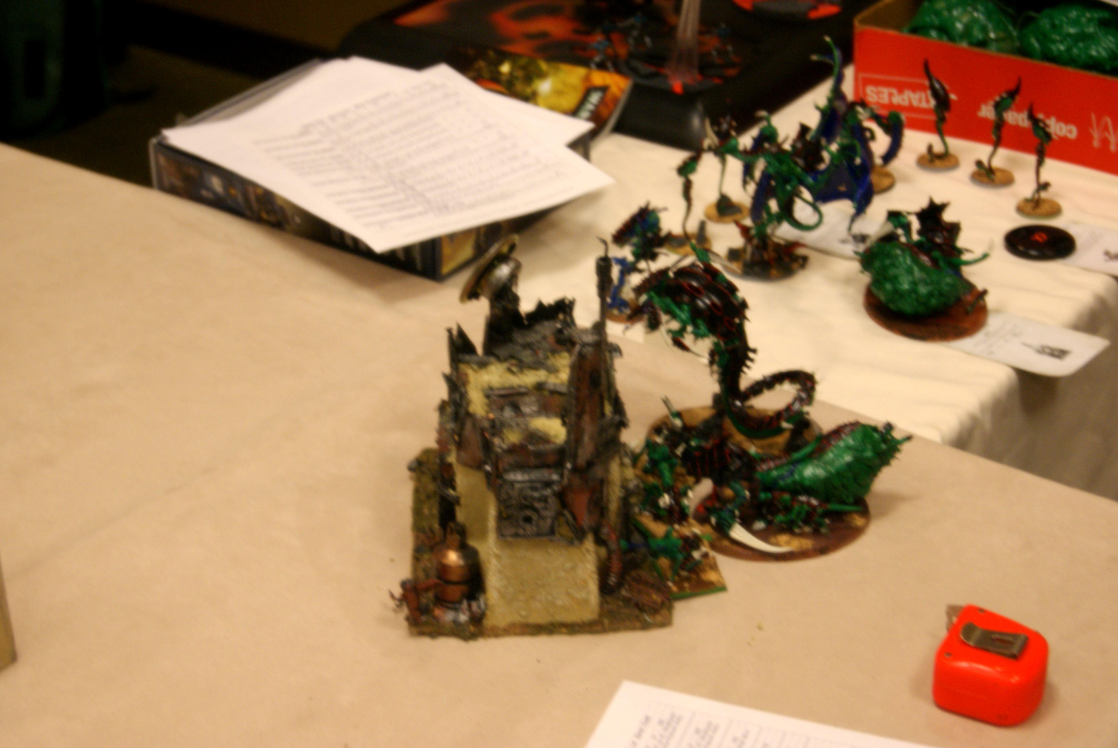 Physallia set up