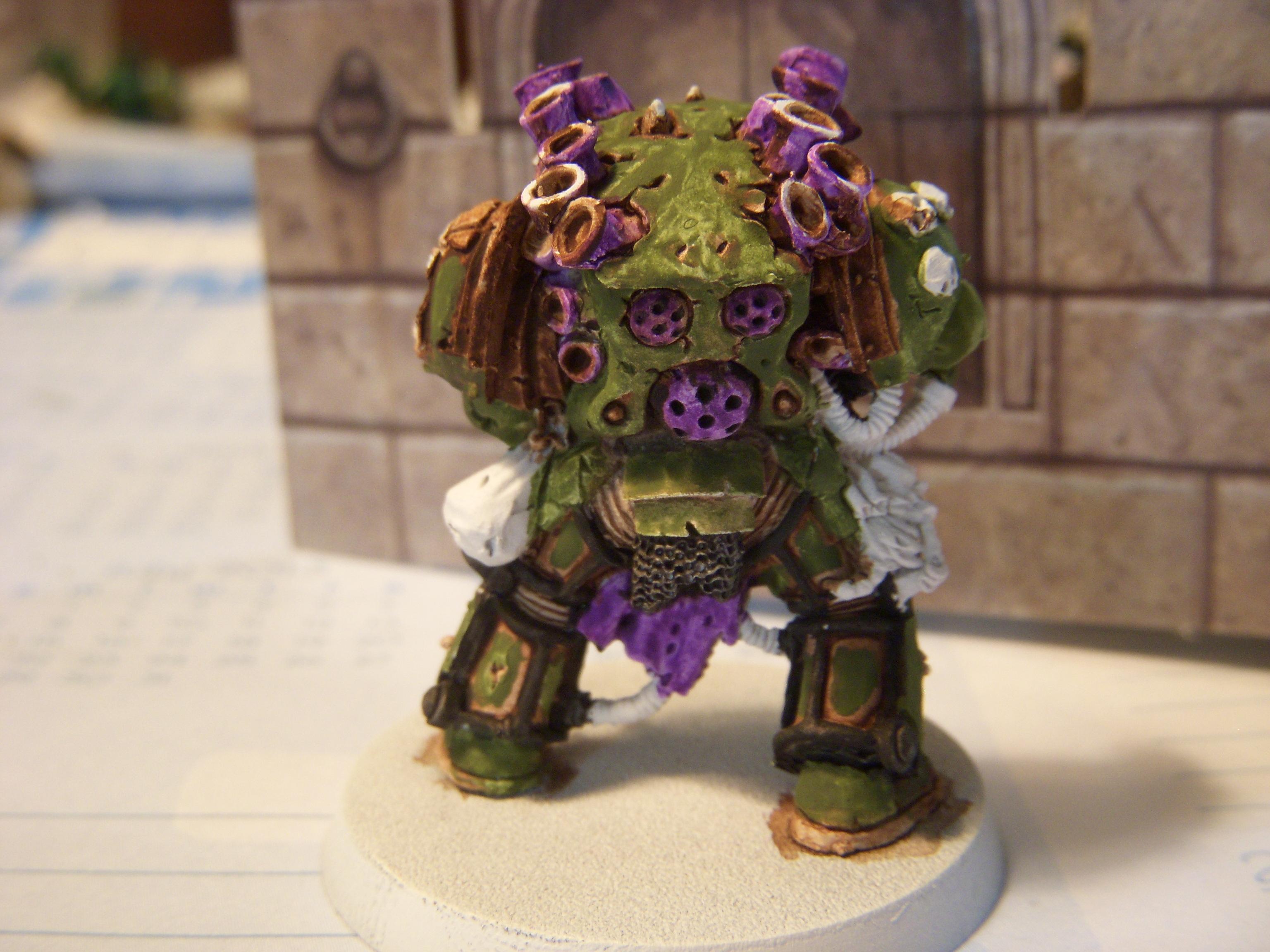 Chaos, Chaos Space Marines, Typhus