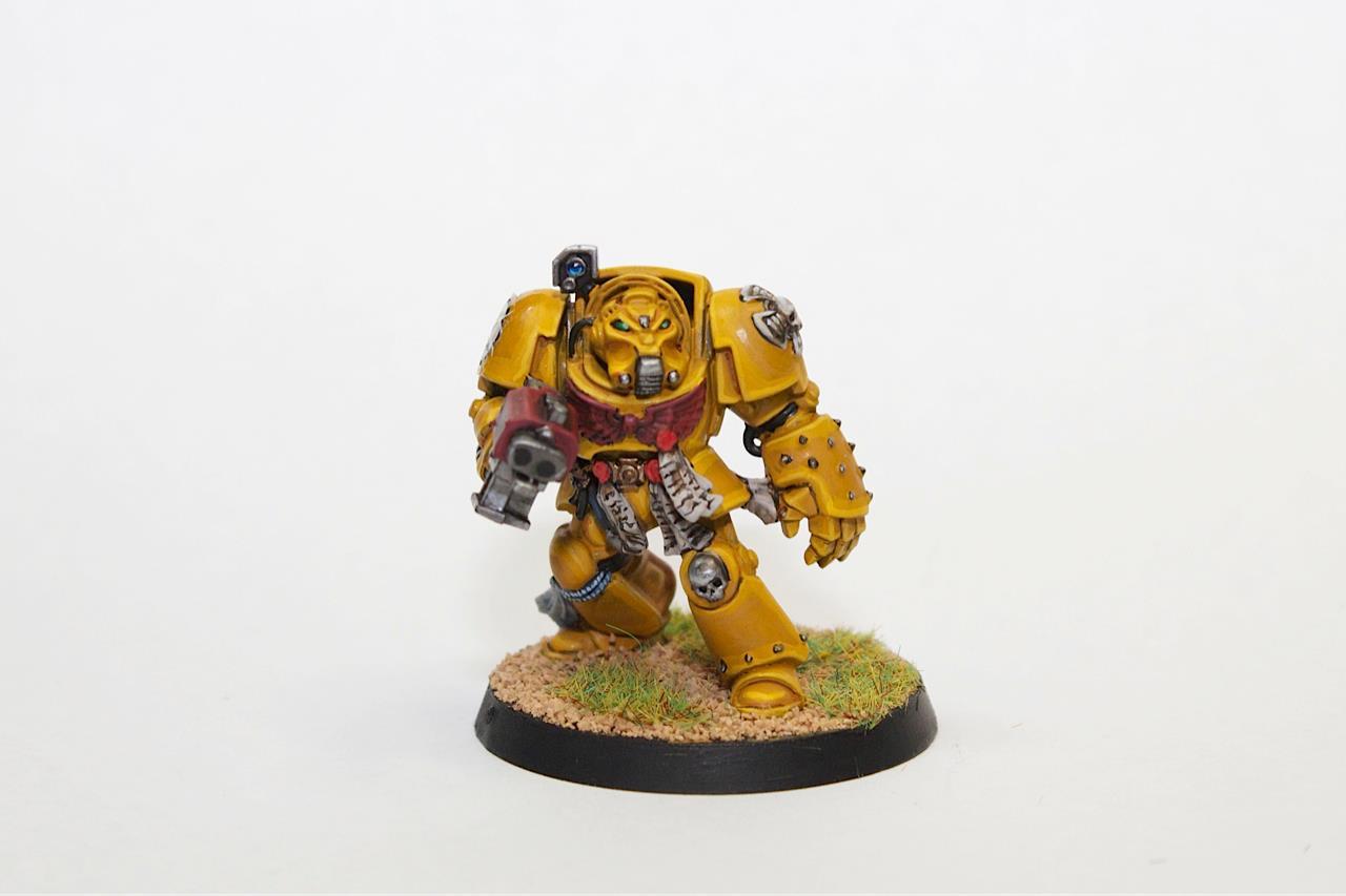 Conversion, Dark Vemgeance, Imperial Fists, Terminator Armor, Warhammer 40,000, Yellow