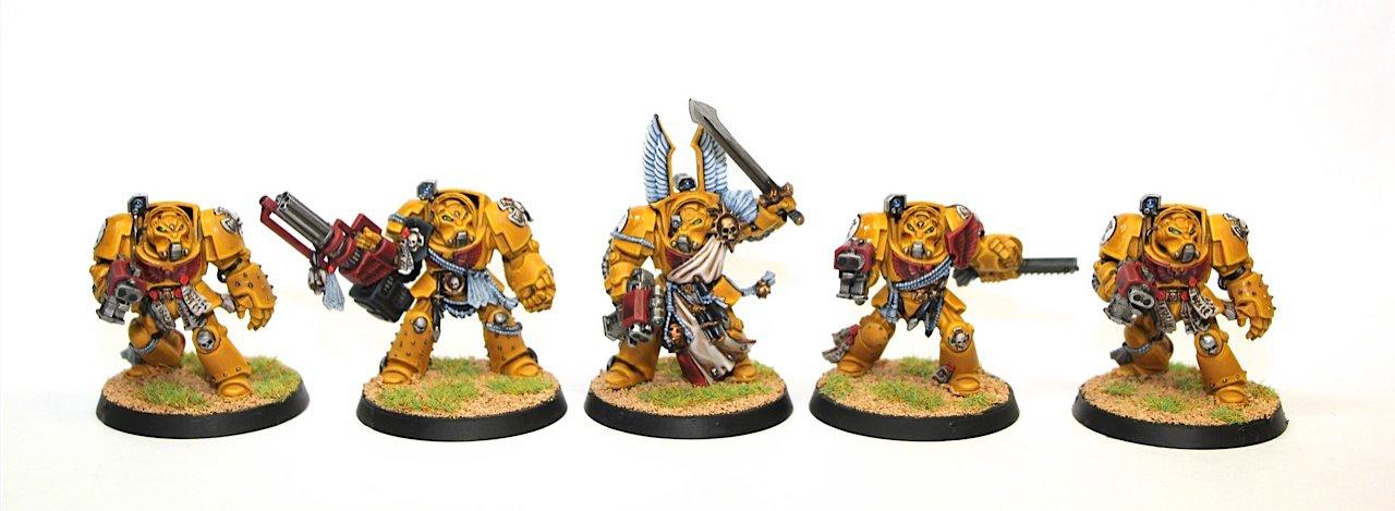 Dark Vengance, Imperial Fists, Terminator Armor