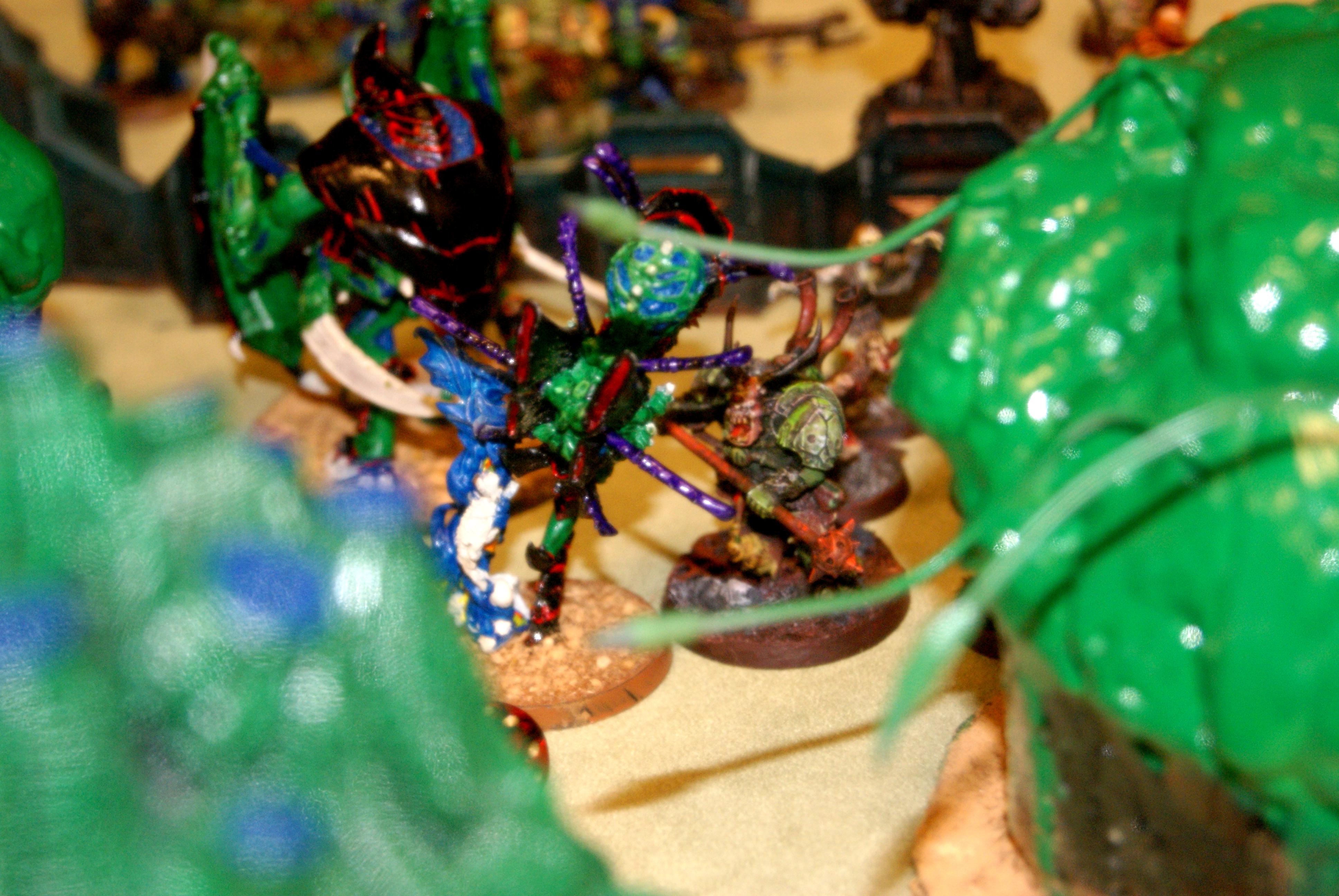 doom vs typhus