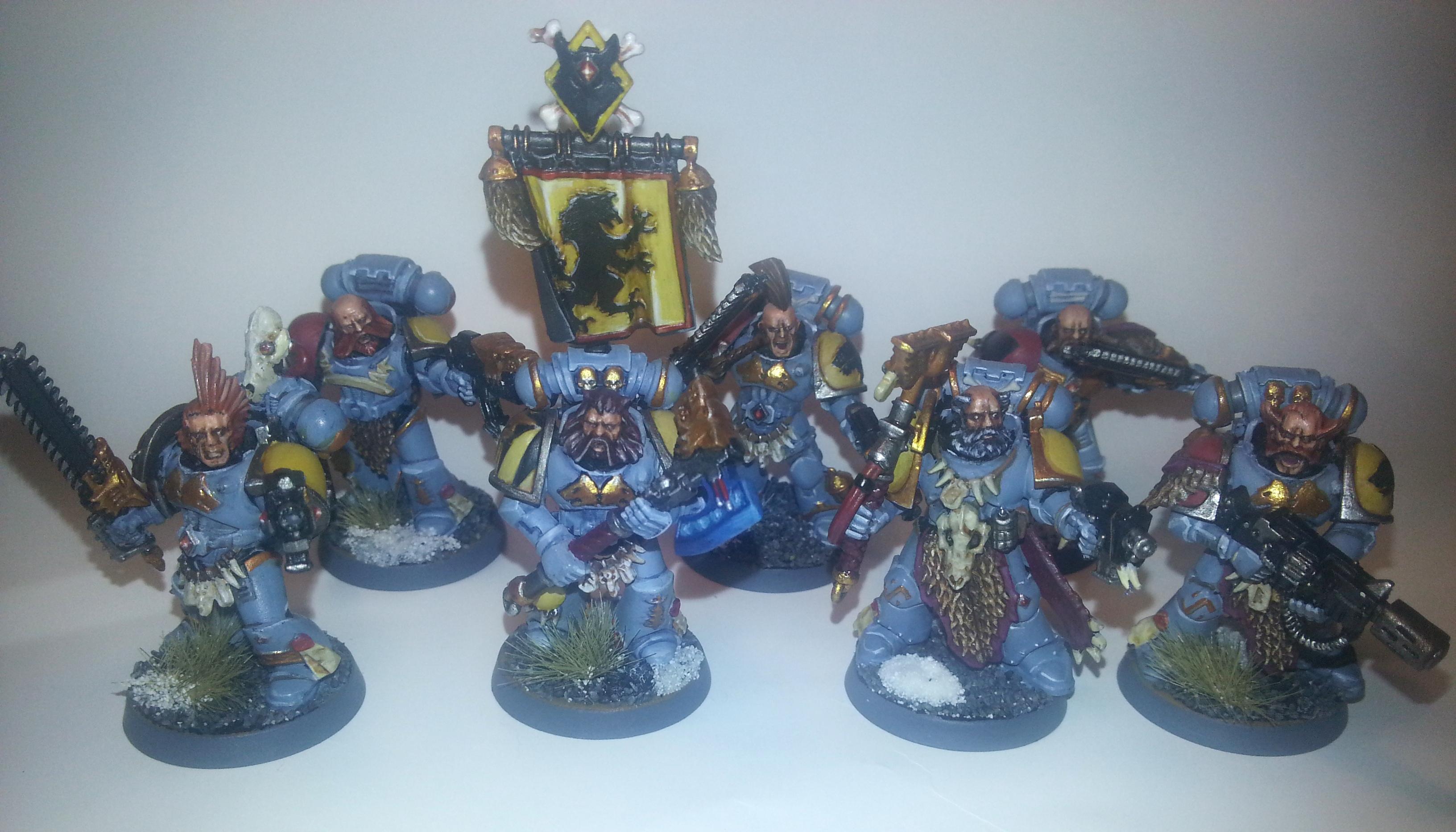 Grey Hunters, Space Wolves