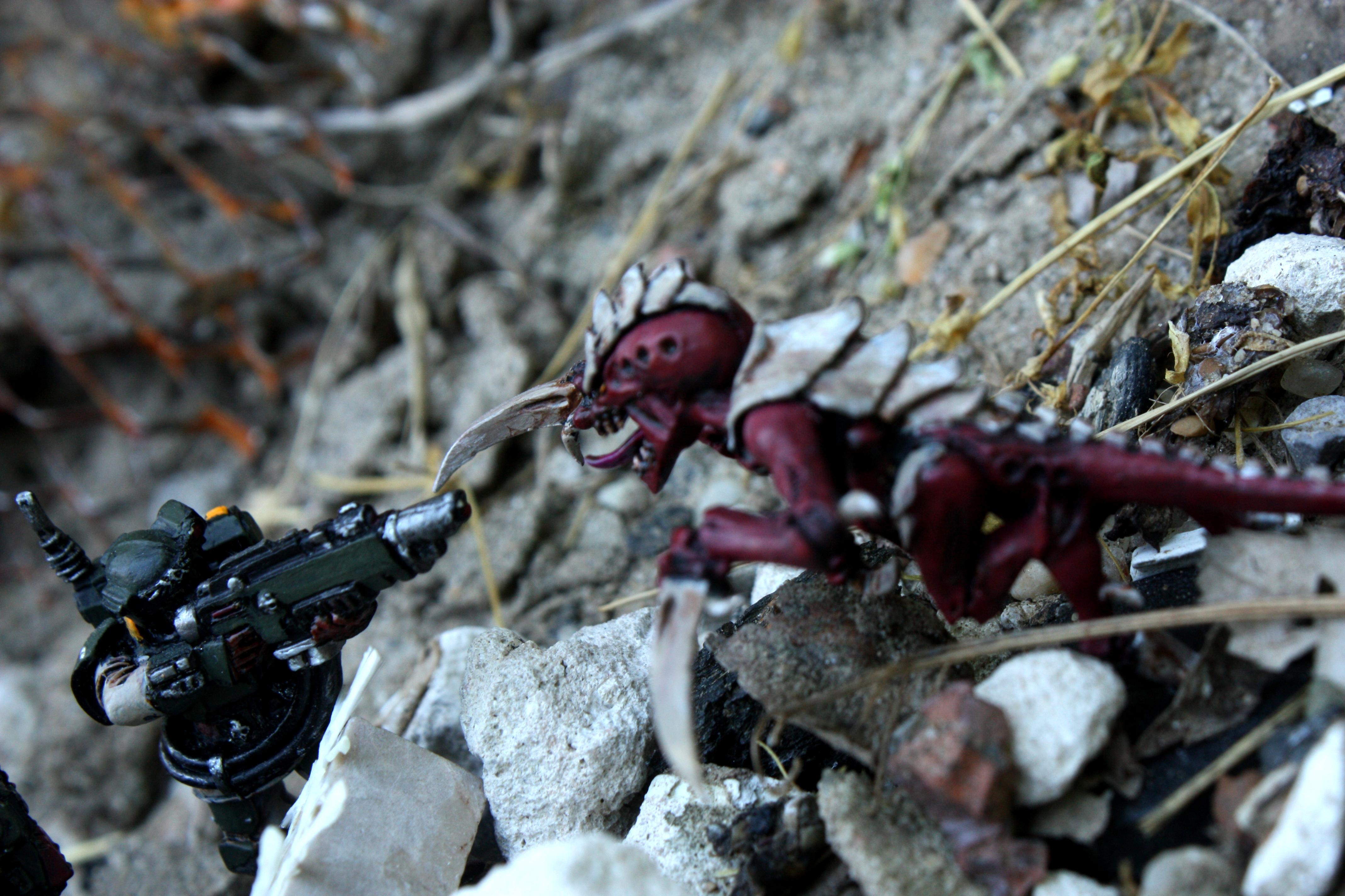 Astra Militarum, Gaunt, Hormagaunts, Imperial Guard, Kasrkin, Outside, Red, Rocks, Tyranids, Warhammer 40,000