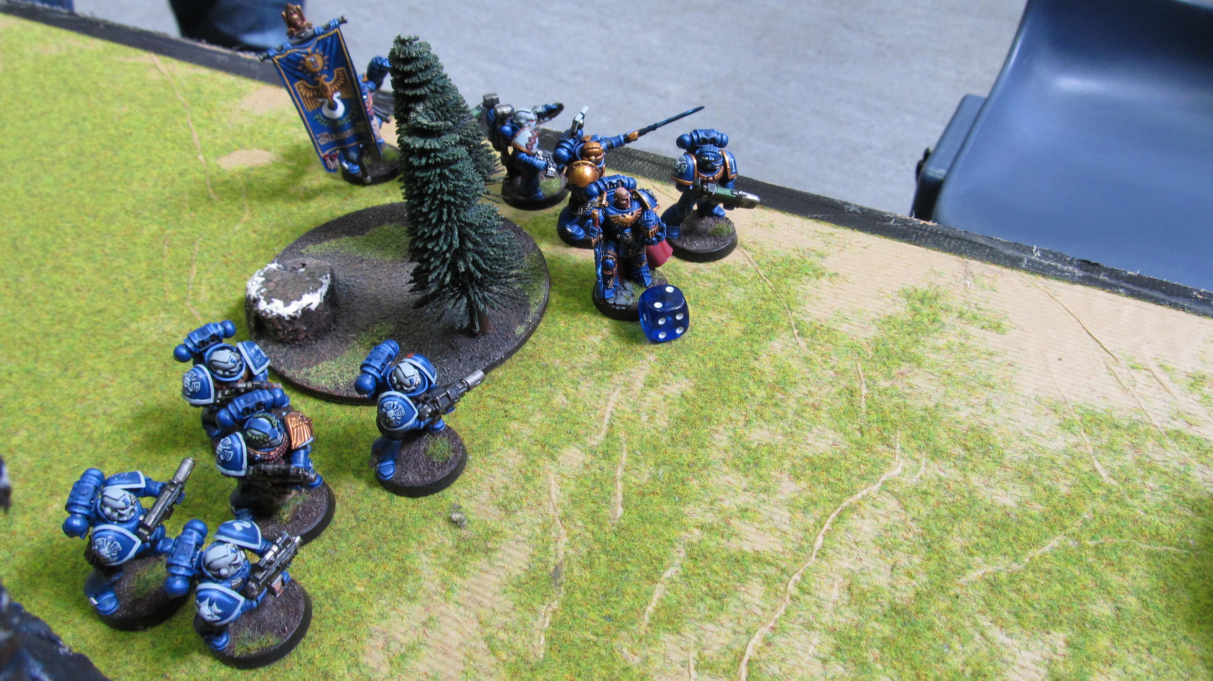 First turn captain hardness