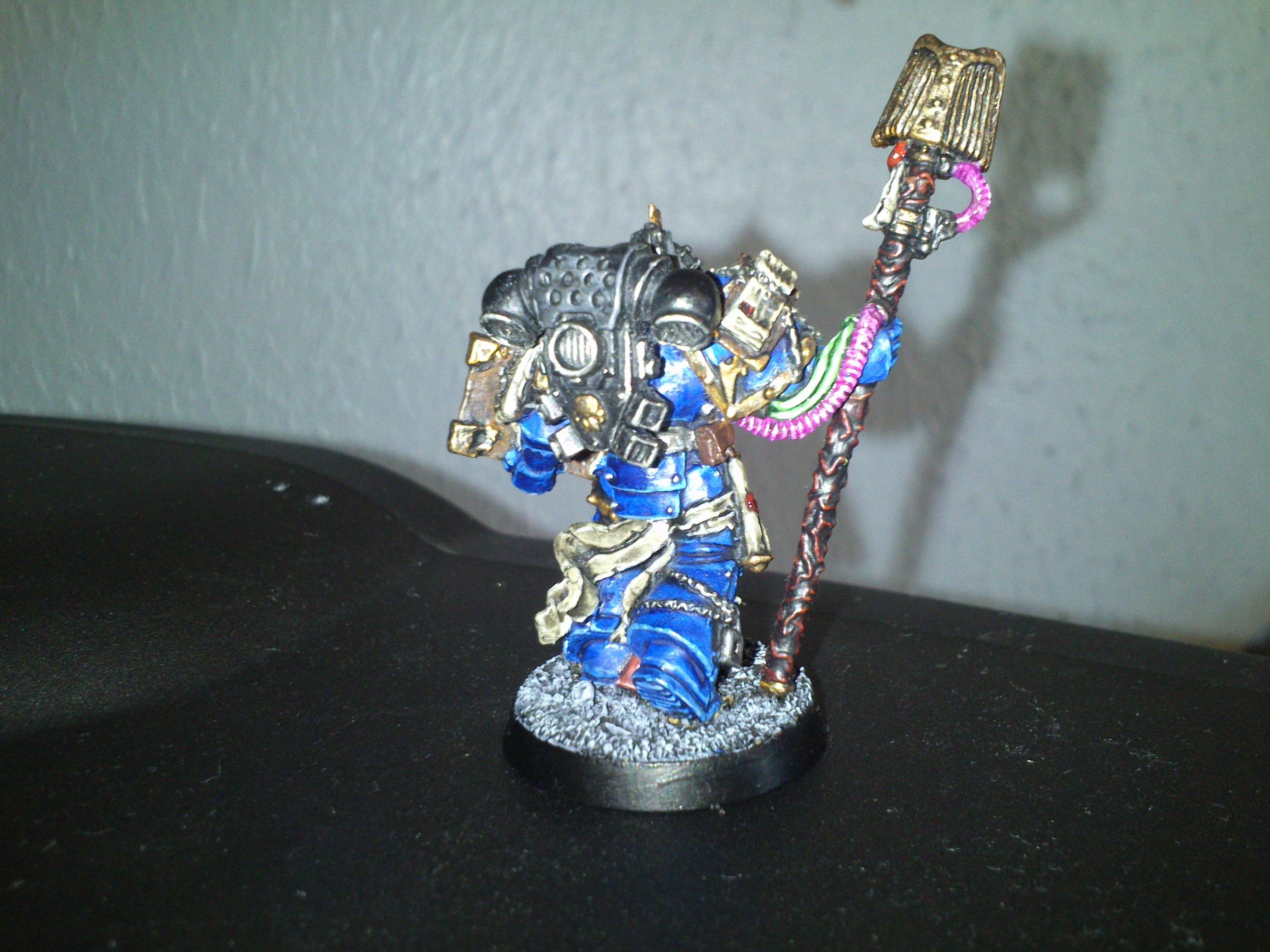 Librarian back view