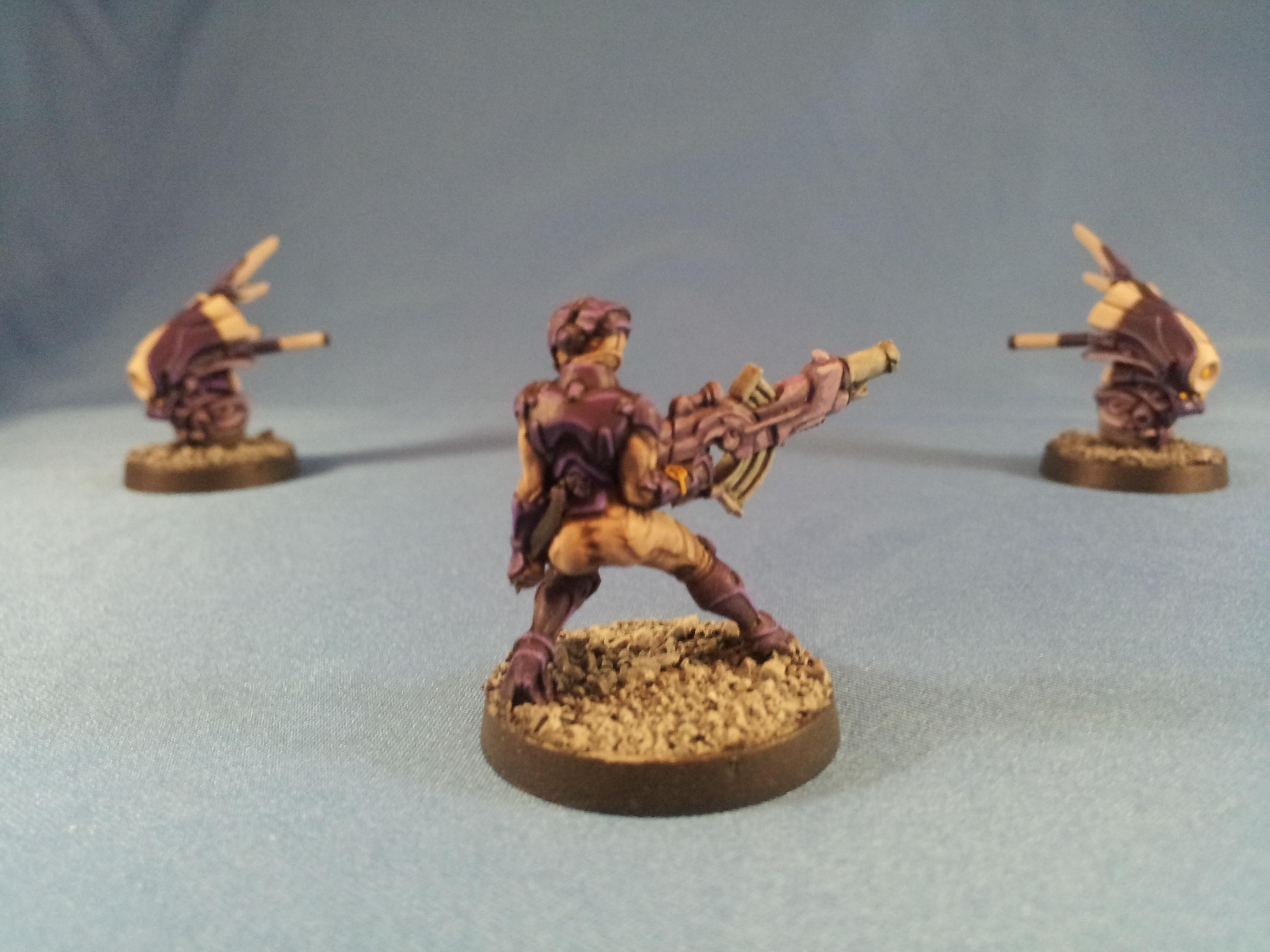 Auxilia, Indigo, Pano, Panoceania