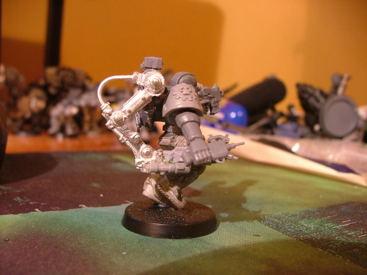 wip marines