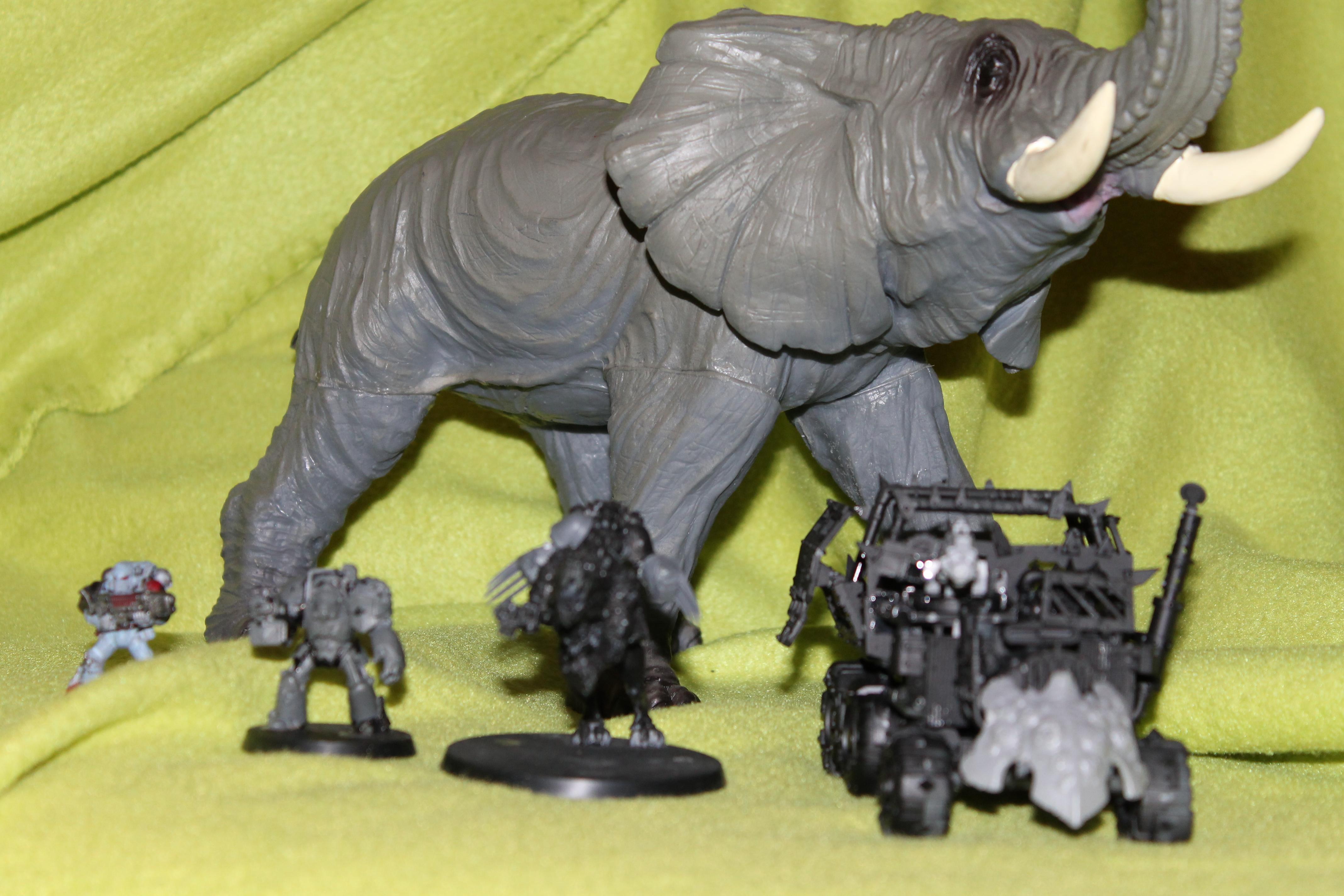 The elephant