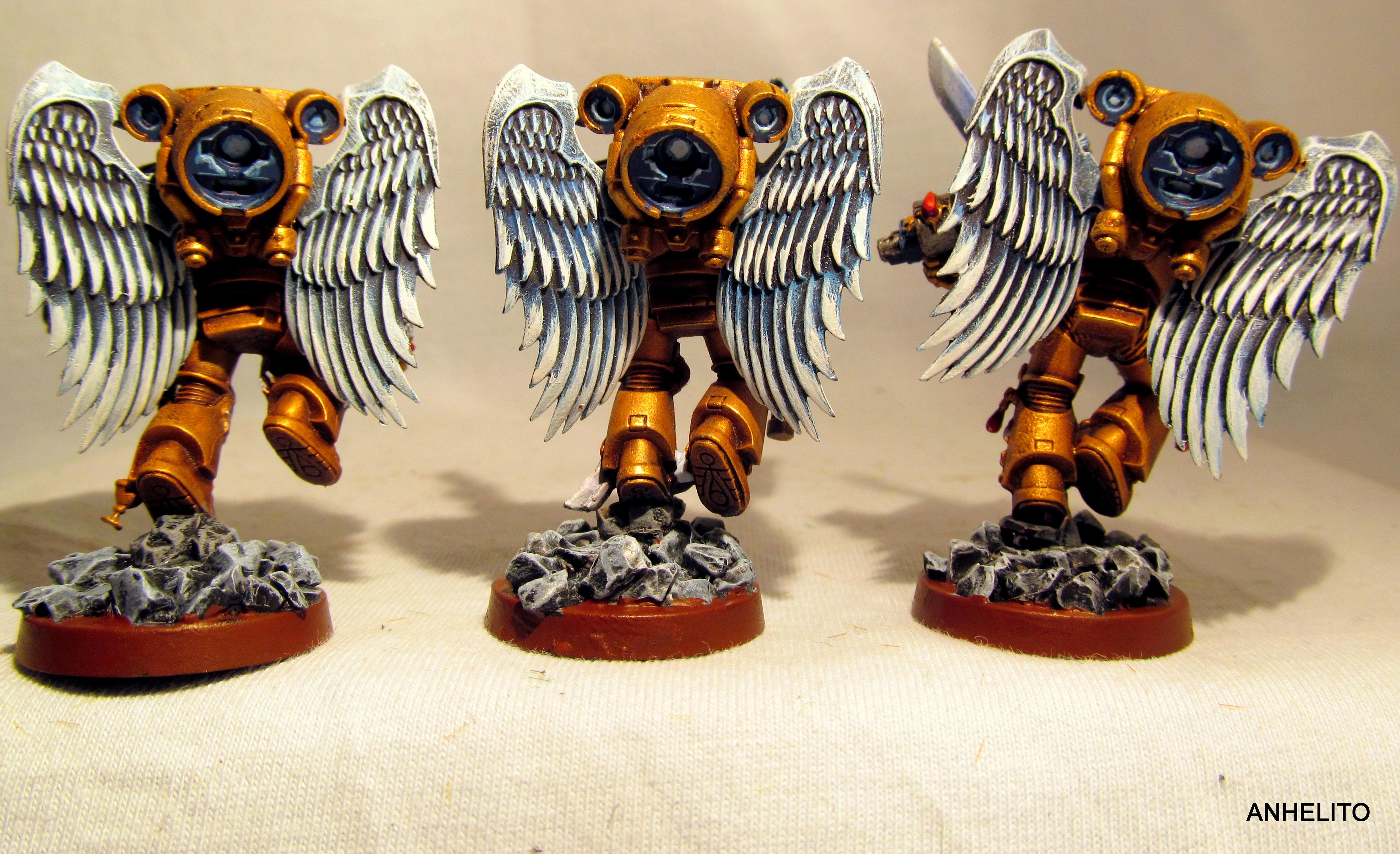 Blood Angels, Sanguinary Guard