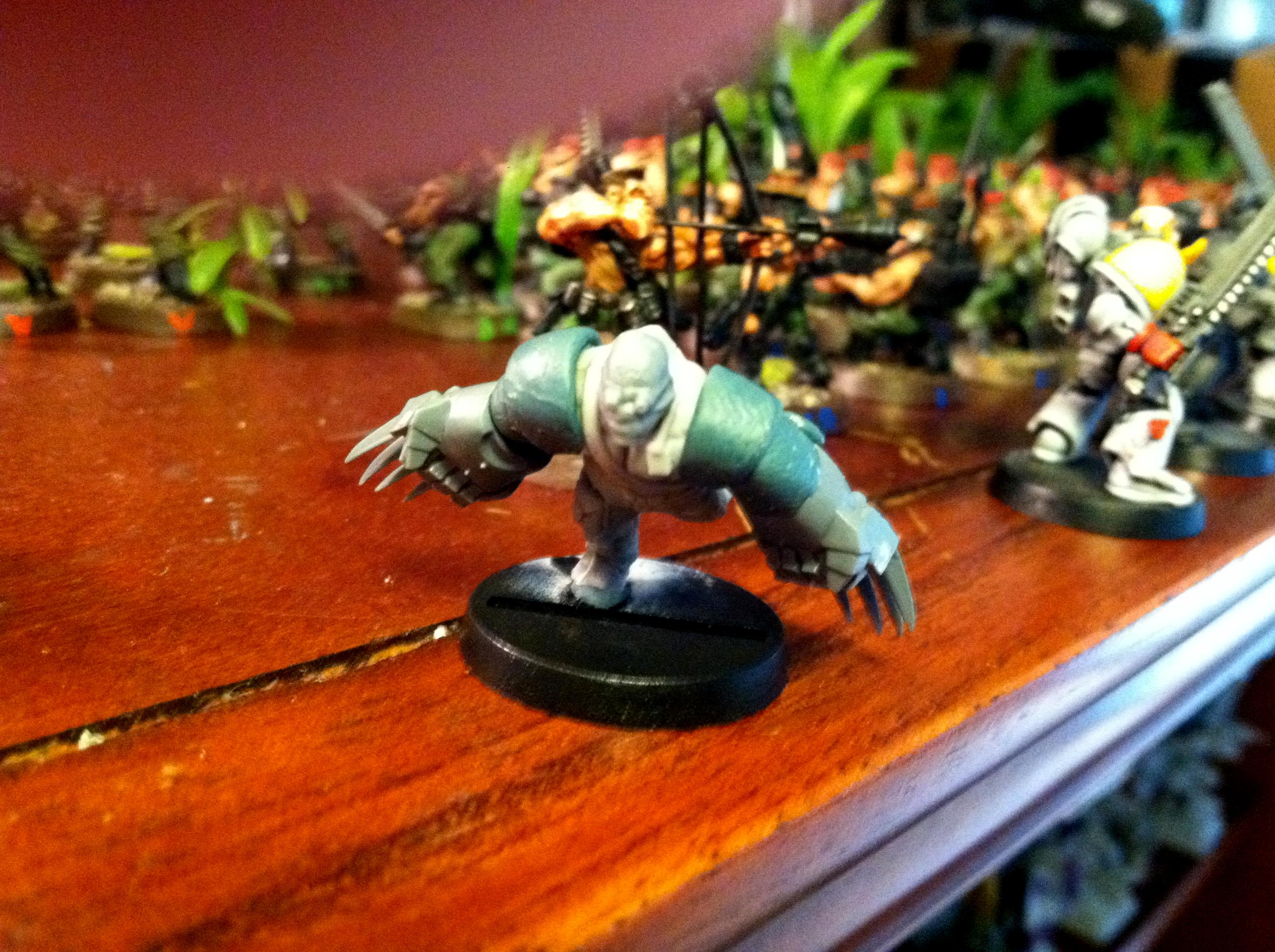 Catachan, Imperial Guard, Warhammer 40,000, Warhammer Fantasy