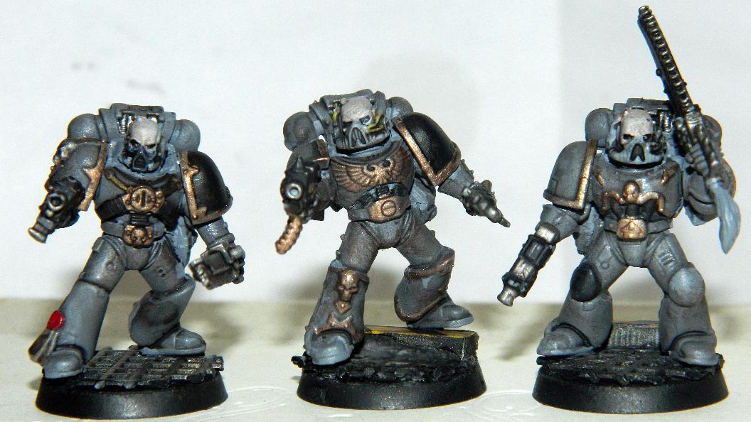 Carcharodon, Carcharodons, Loyal, Loyalist, Shark, Space, Space Marines