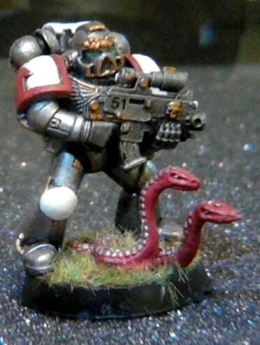 Barmy Bakers Miniatures, Iron Snakes, Space Marines, Warhammer 40,000