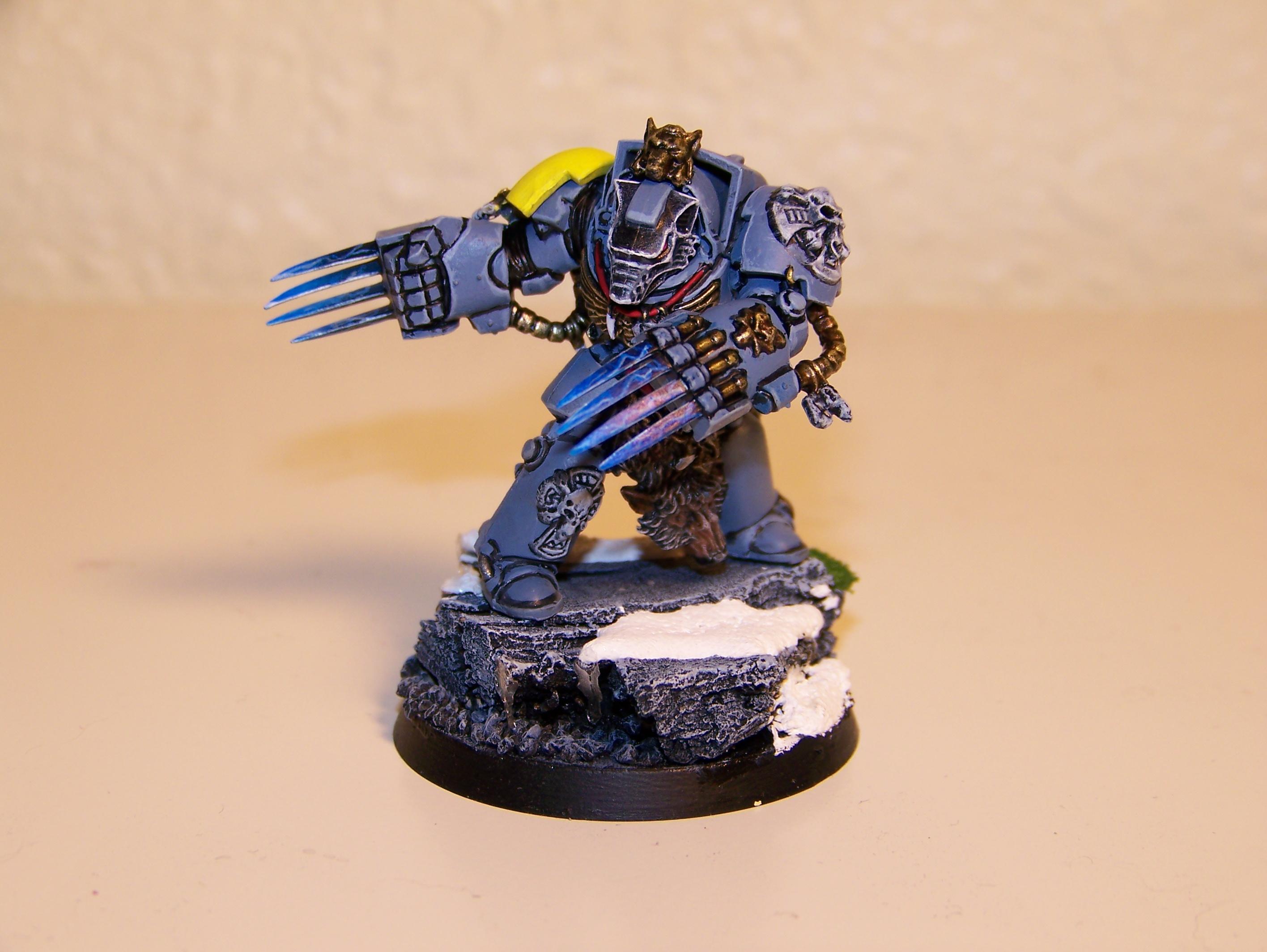 Lightning Claws, Space Wolves, Terminator Armor, Warhammer 40,000