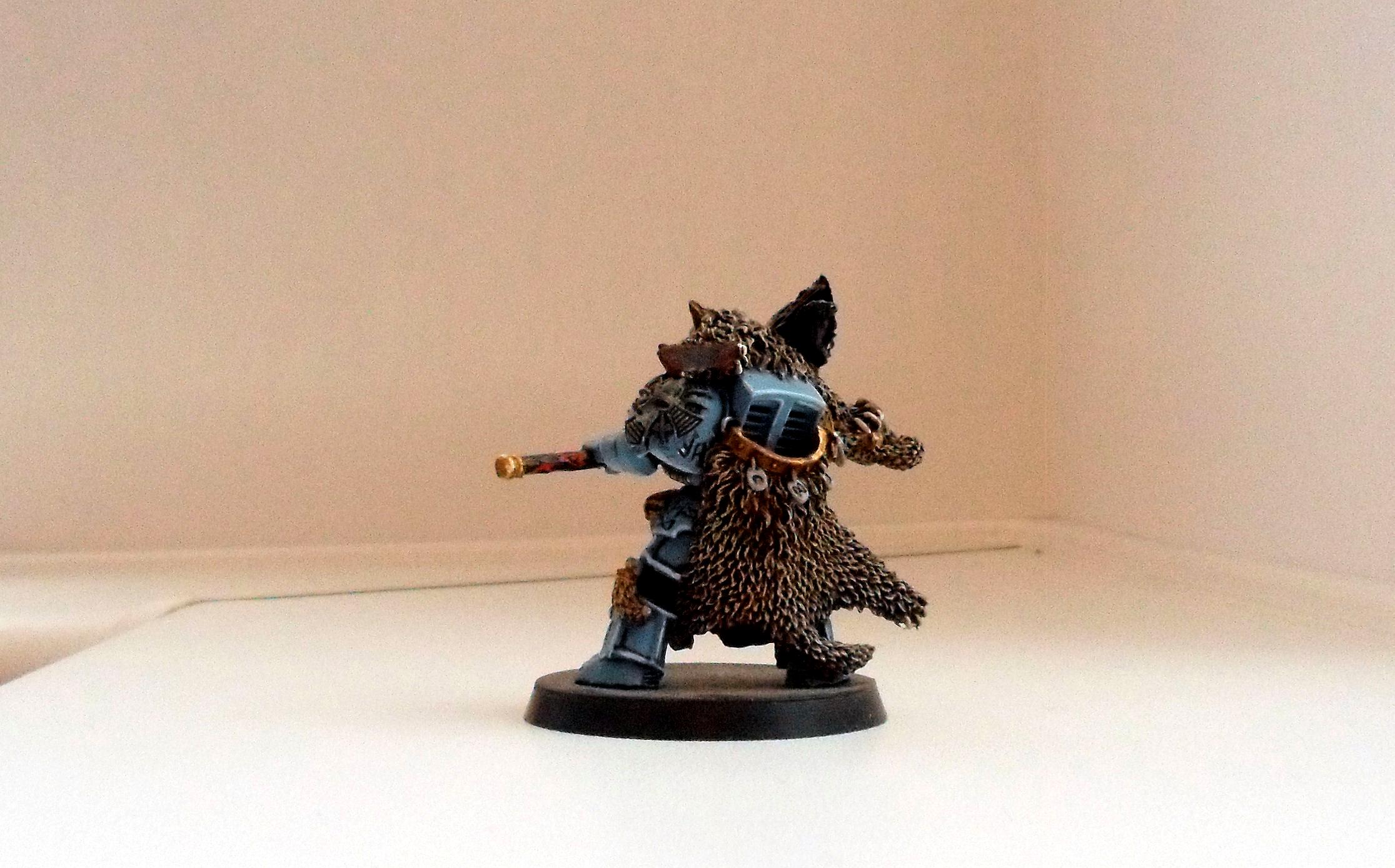 Space, Space Hulk, Space Marines, Warhammer 40,000, Wolves