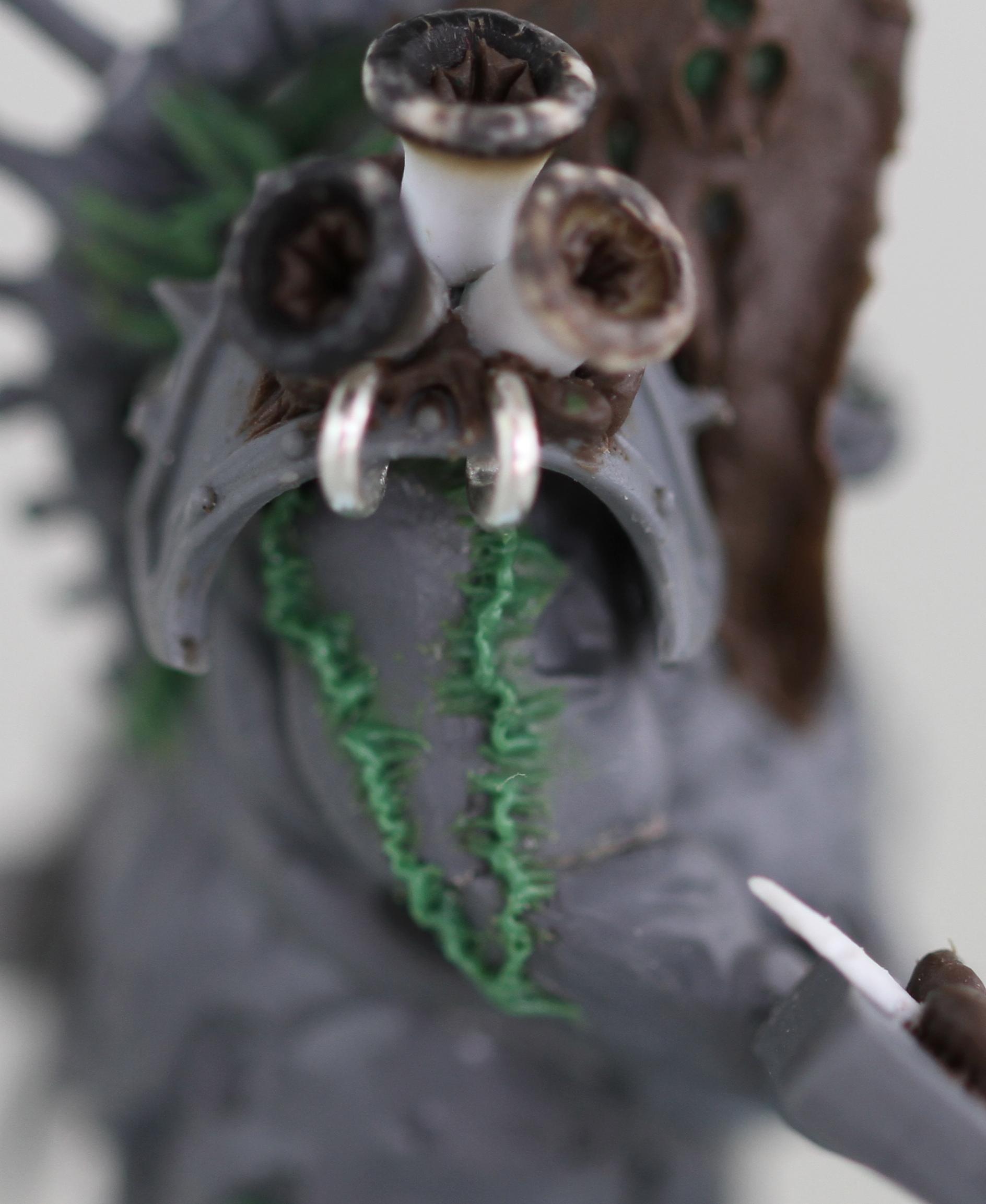 Herald of Nurgle