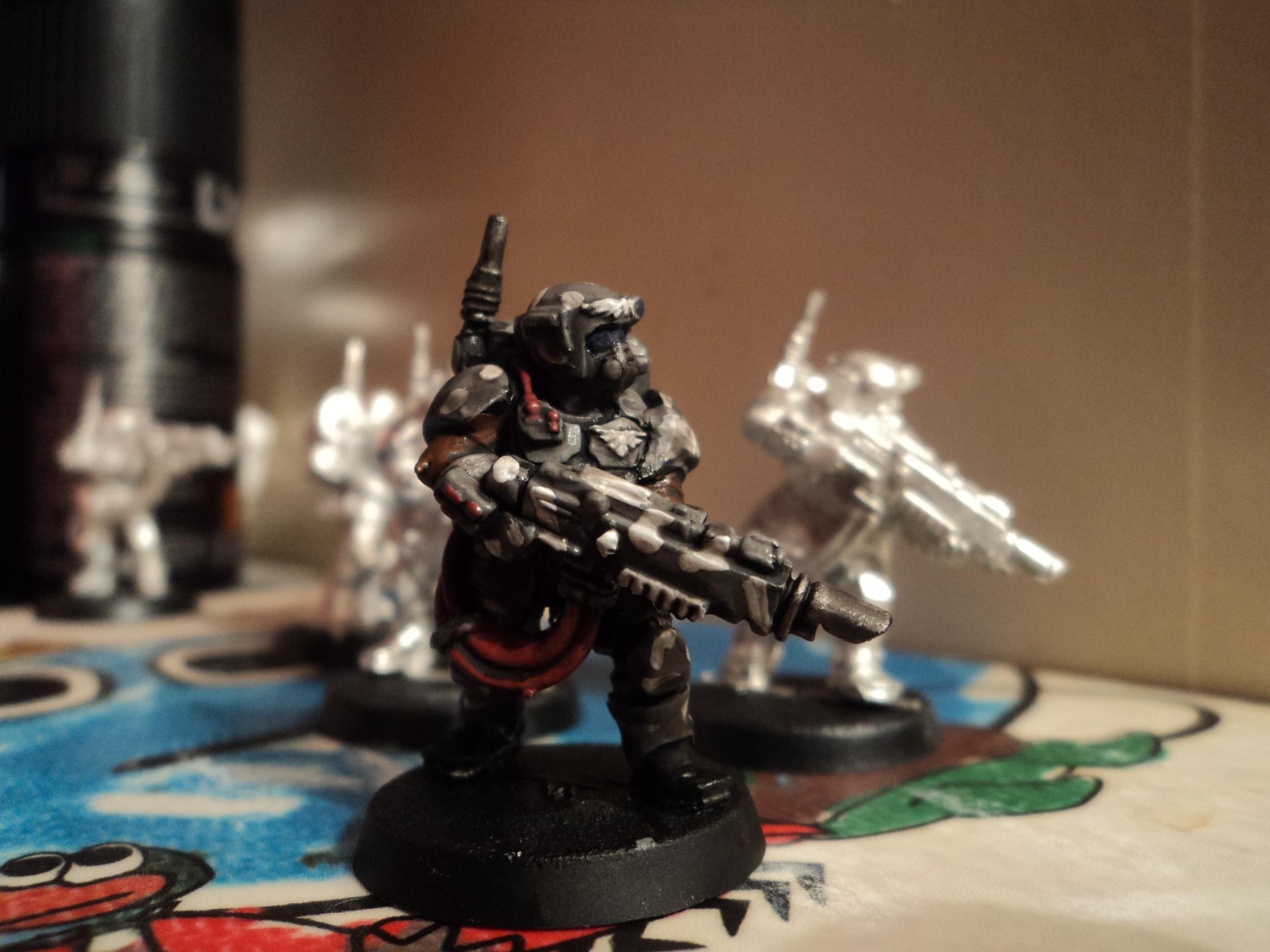 Imperial Guard, Kasrkin, Warhammer 40,000