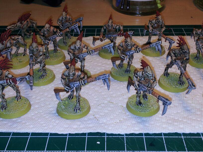 Kroot 1