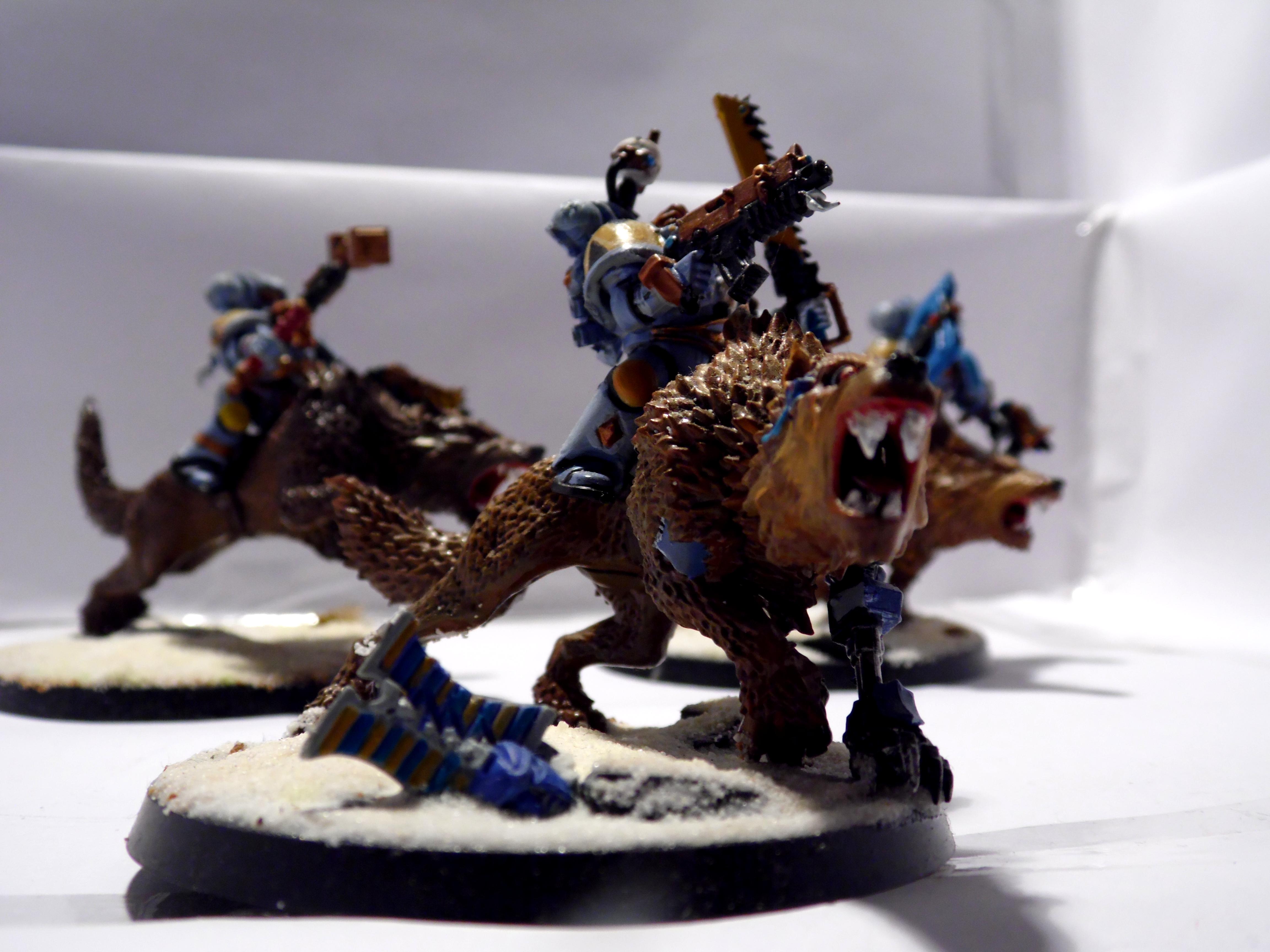 wolf riders